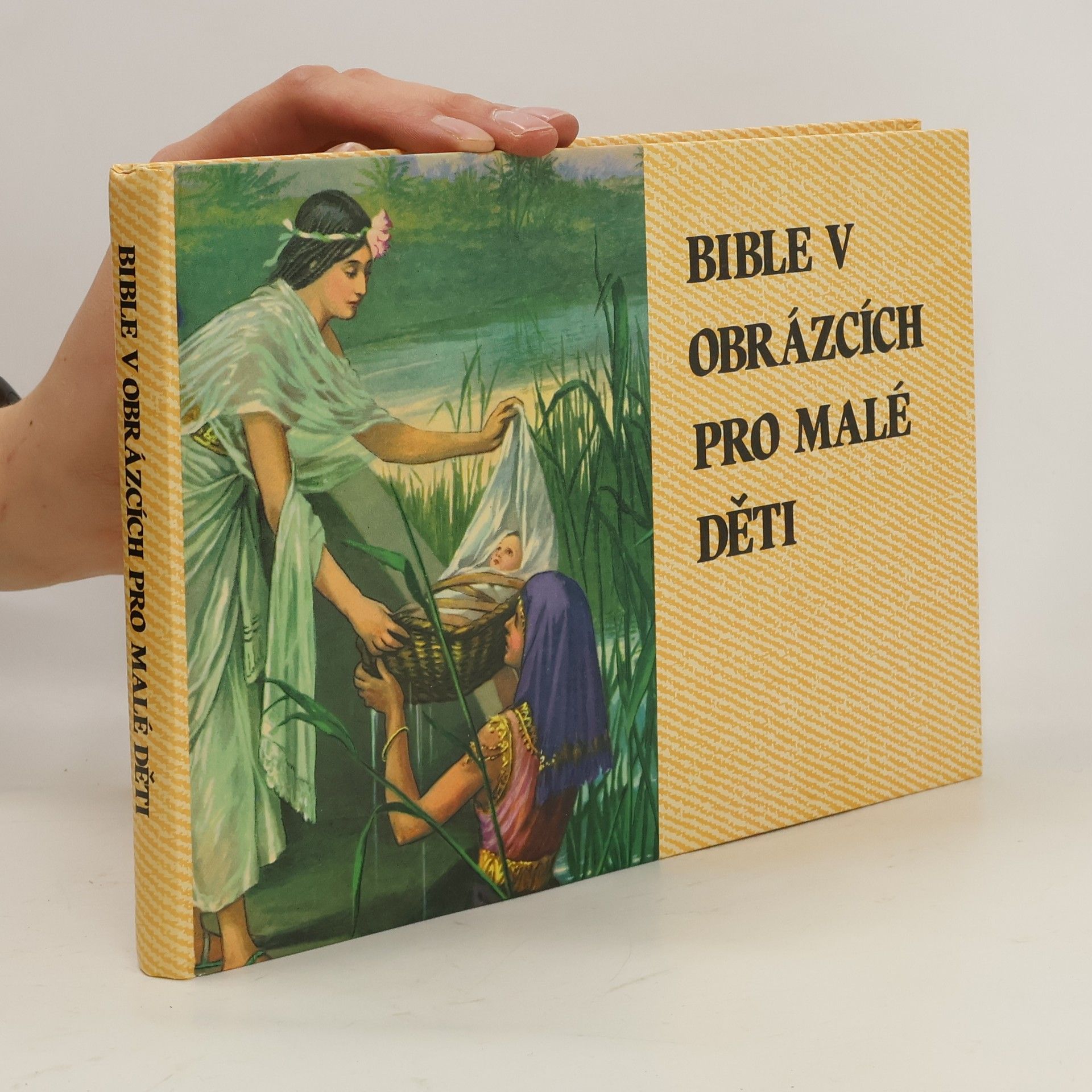 Kenneth Taylor Bible v obrázcích pro malé děti