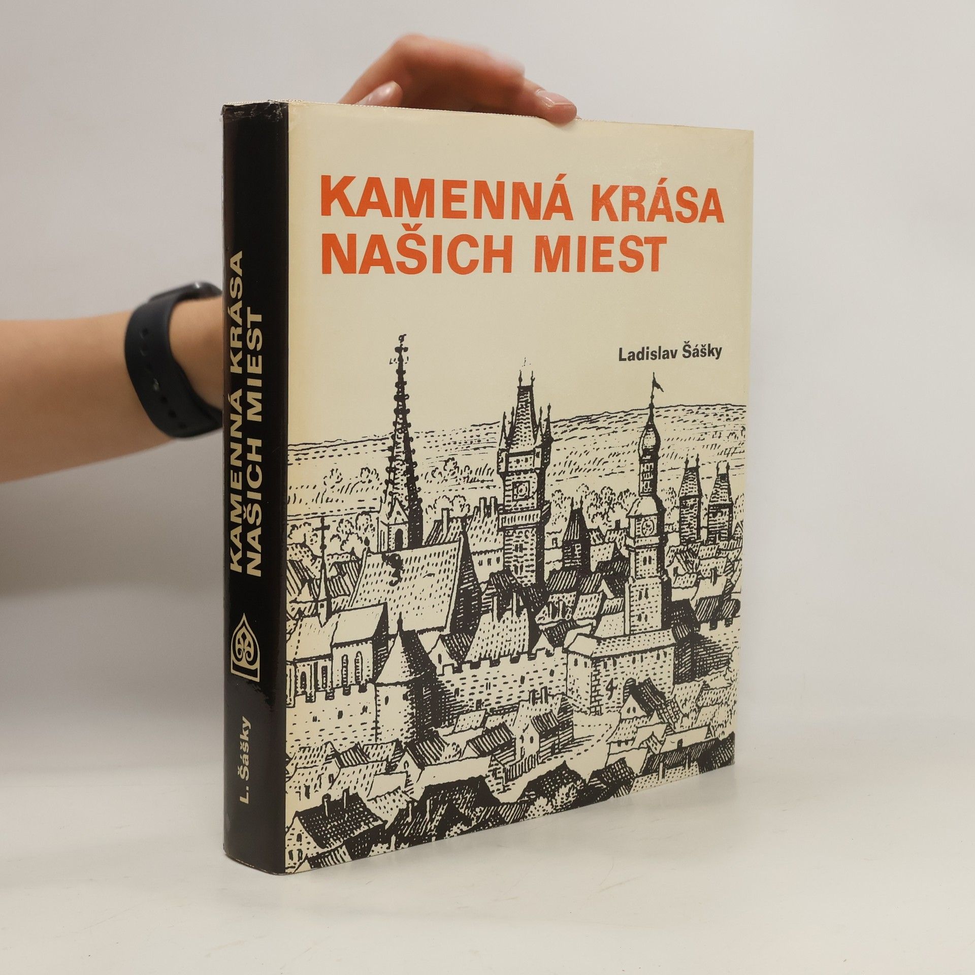 Ladislav Šášky Kamenná krása našich miest