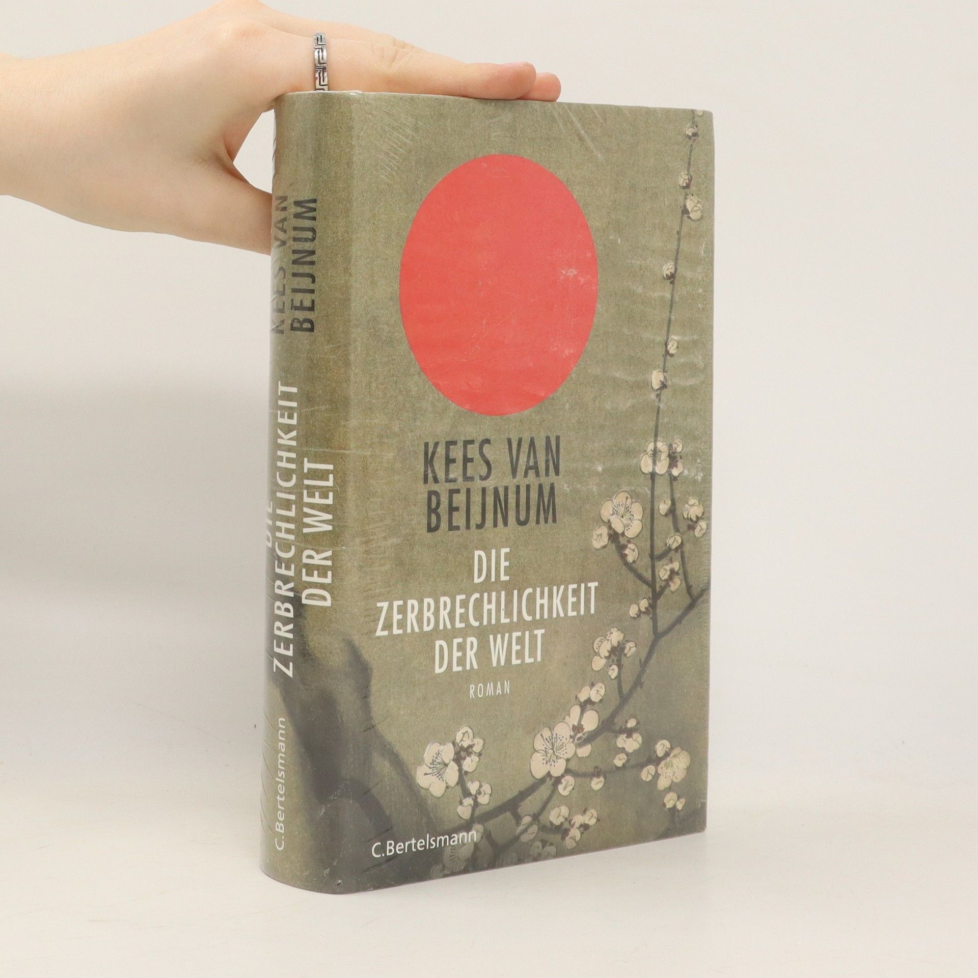 Kees van Beijnum Die Zerbrechlichkeit der Welt