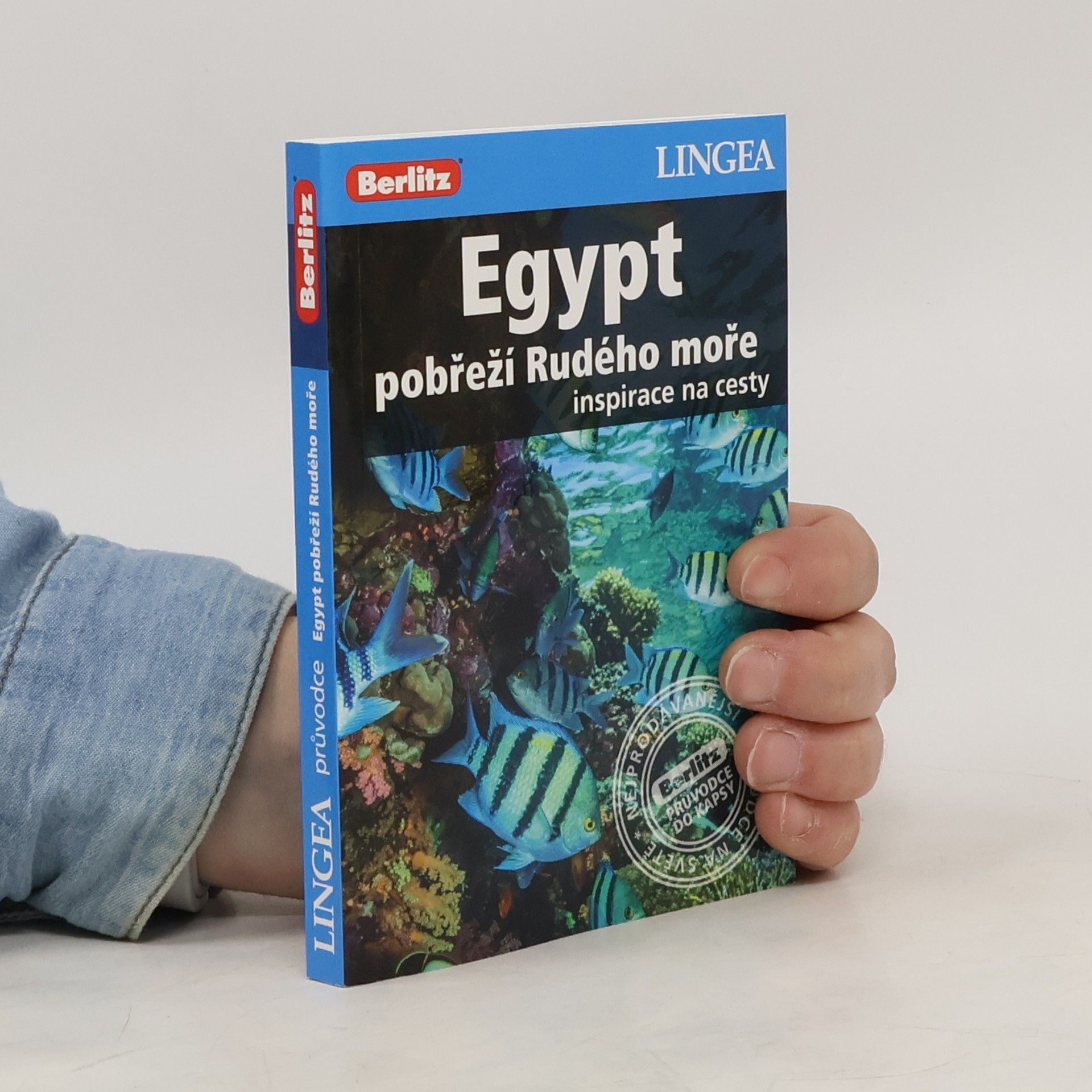 kolektiv Egypt: pobřeží Rudého moře - Inspirace na cesty