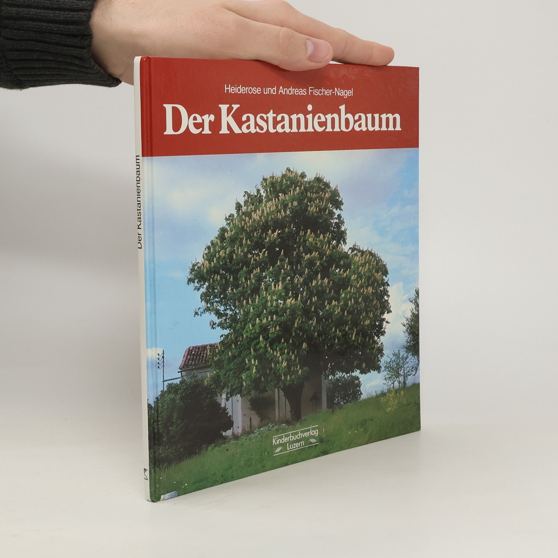 Autorenkollektiv Der Kastanienbaum