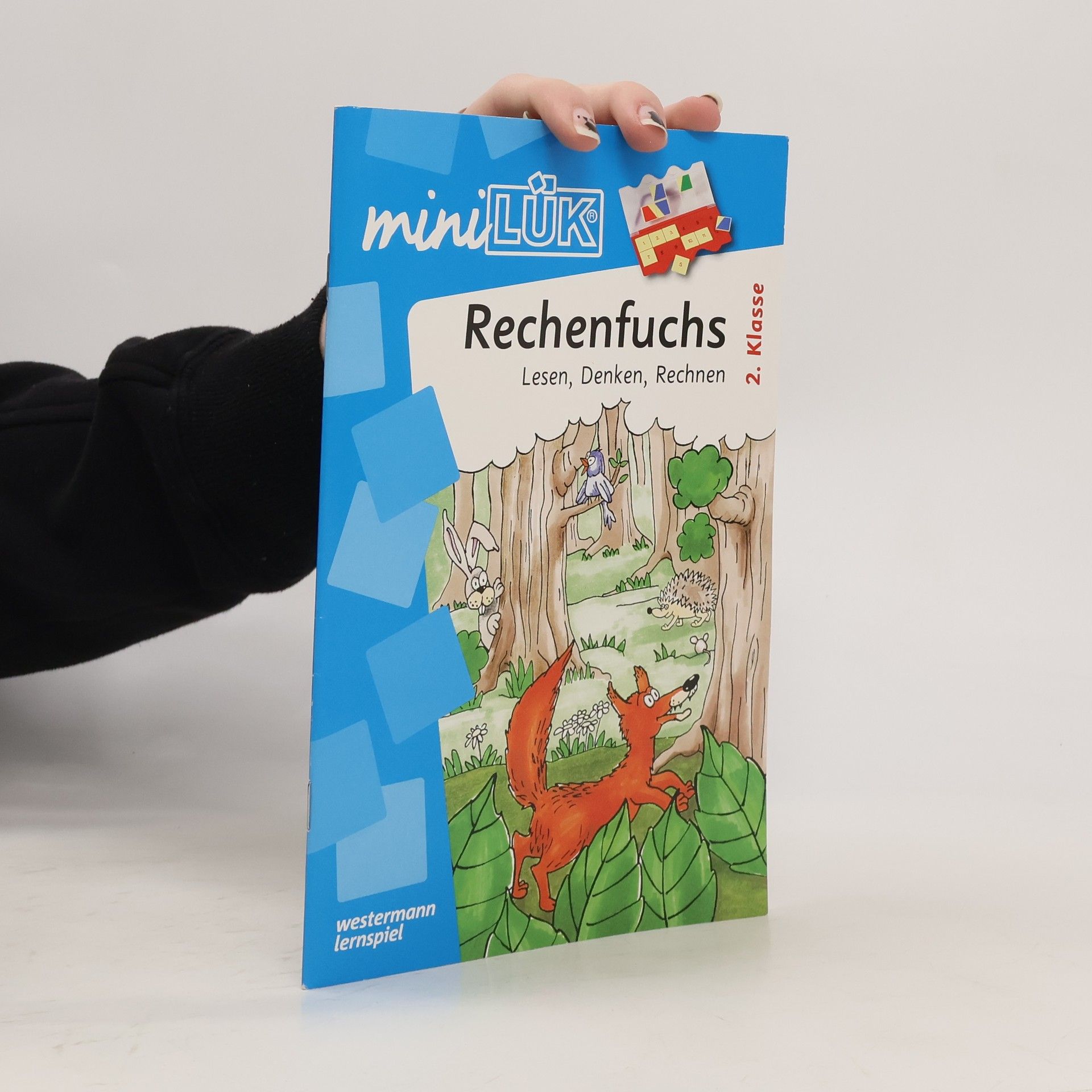 Heinz Vogel Der Rechenfuchs 2. Klasse