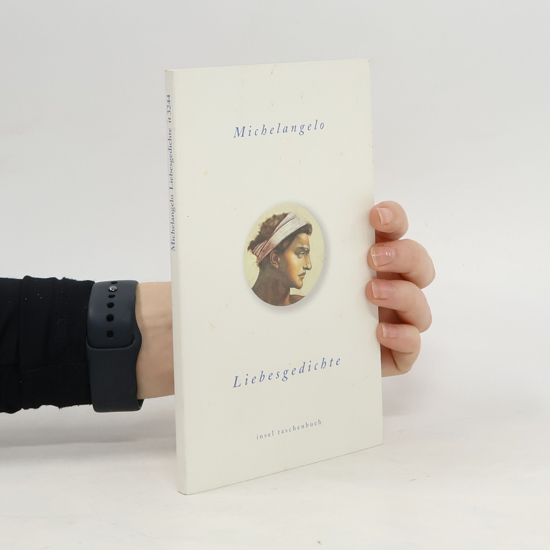 Michelangelo Buonarroti Liebesgedichte