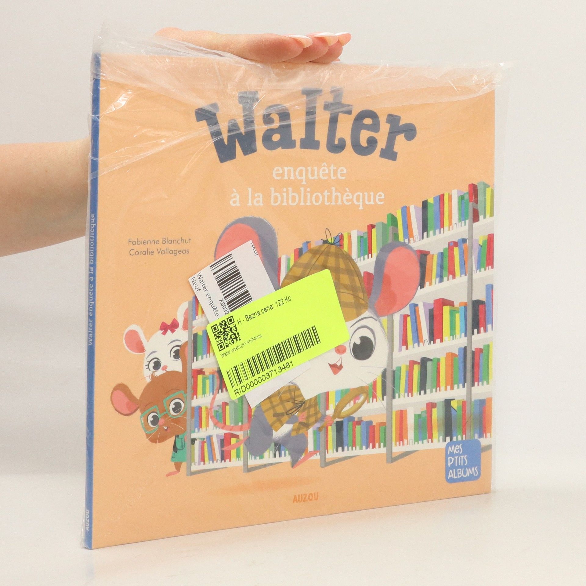 Fabienne Blanchut Walter enquête à la bibliothèque