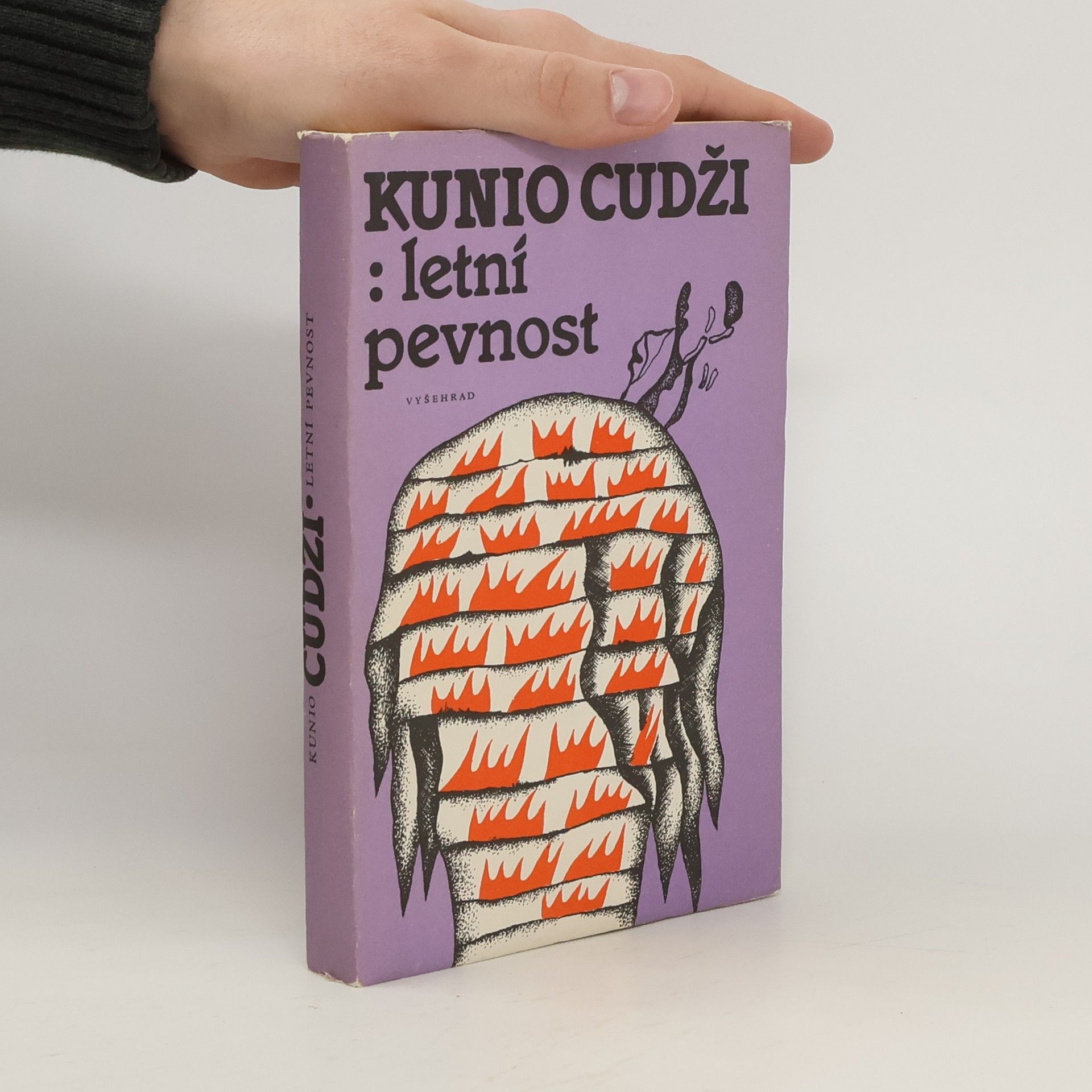 Zdenka Švarcová Letní pevnost