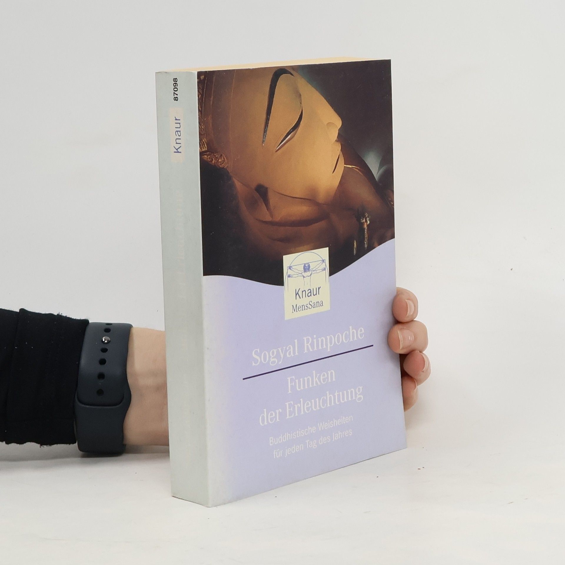 Sogyal Rinpoche Funken der Erleuchtung