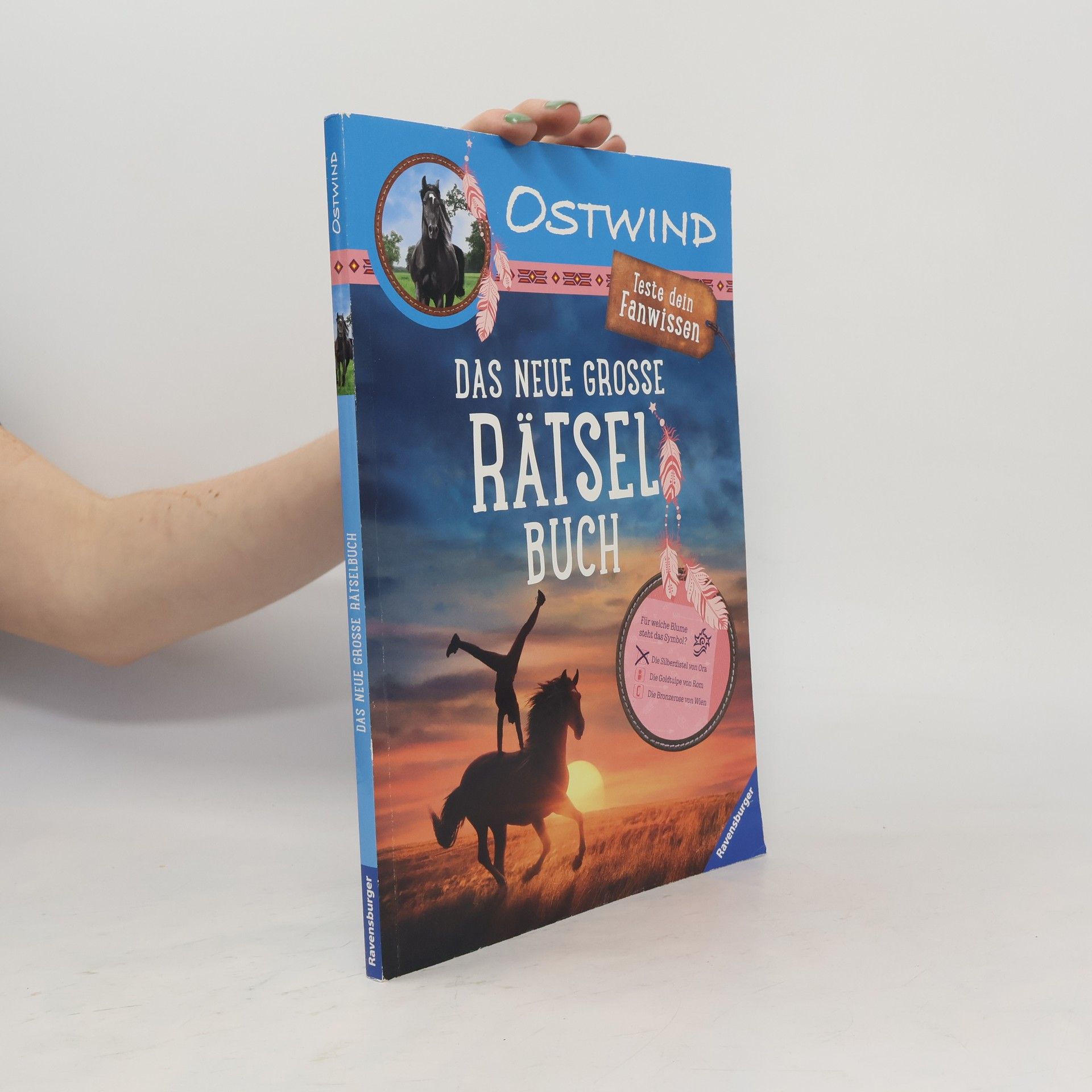 Autores varios Ostwind: Das neue große Rätselbuch – Teste dein Fanwissen
