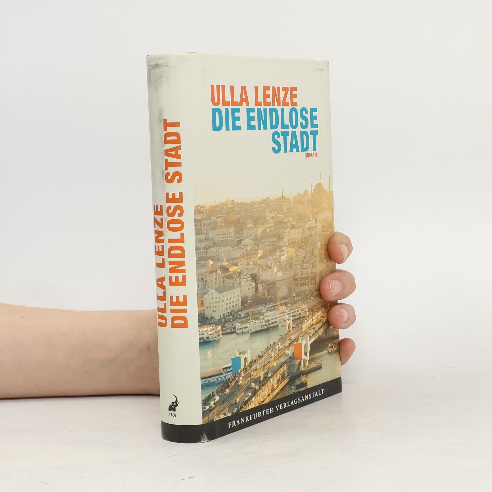 Ulla Lenze Die endlose Stadt