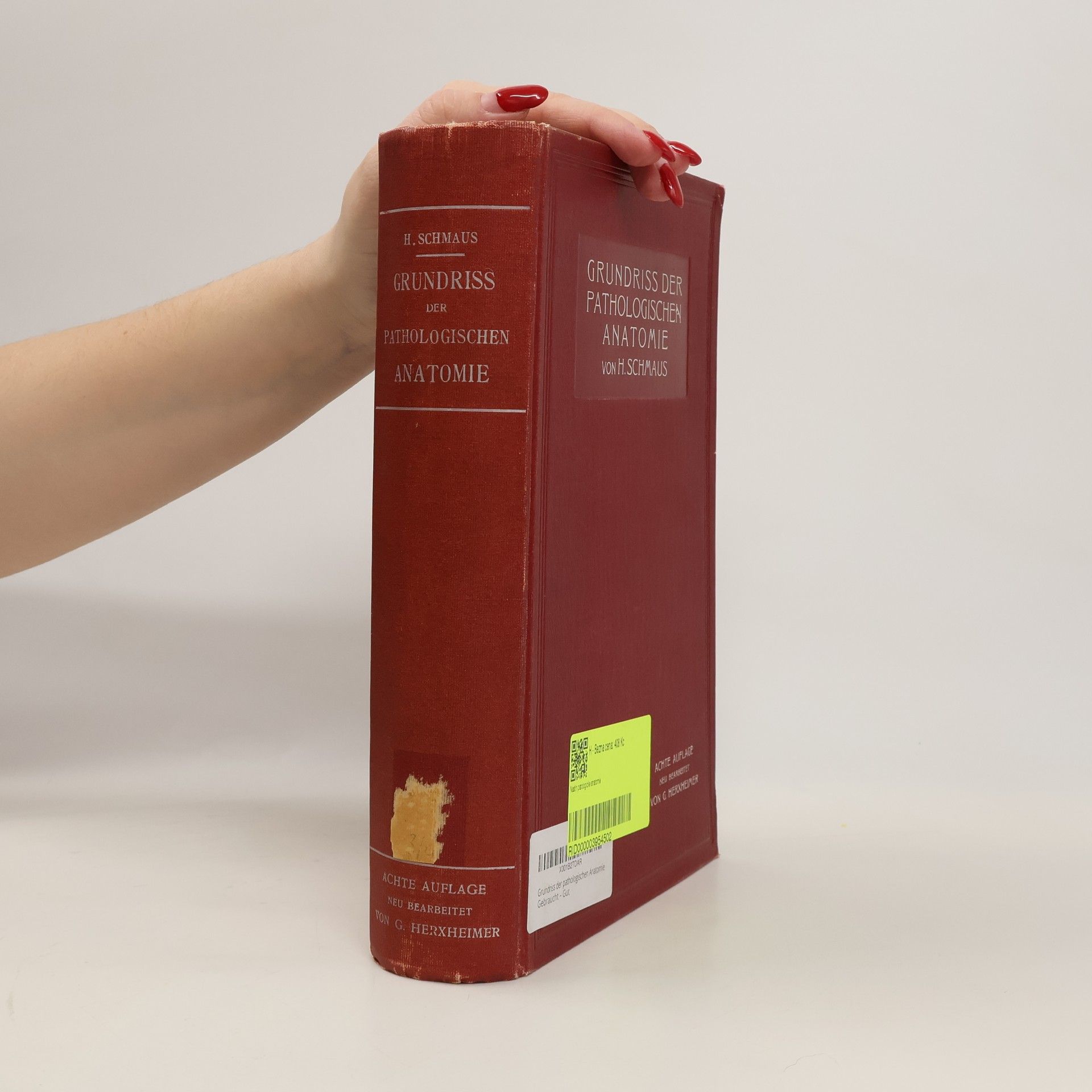Hans Schmaus Grundriss der Pathologischen Anatomie