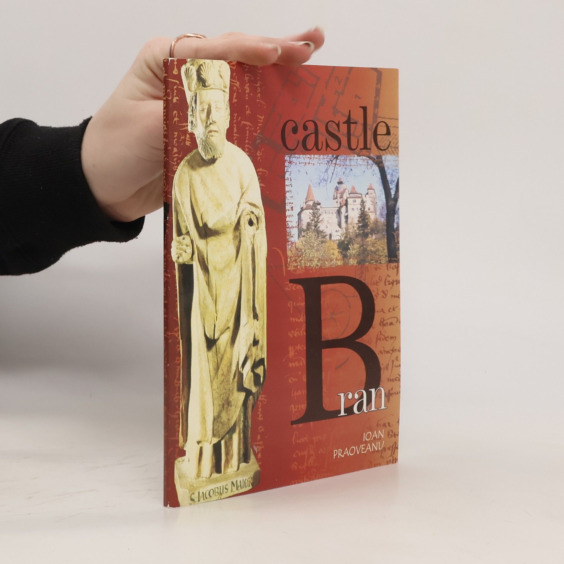 Ioan Praoveanu Bran Castle