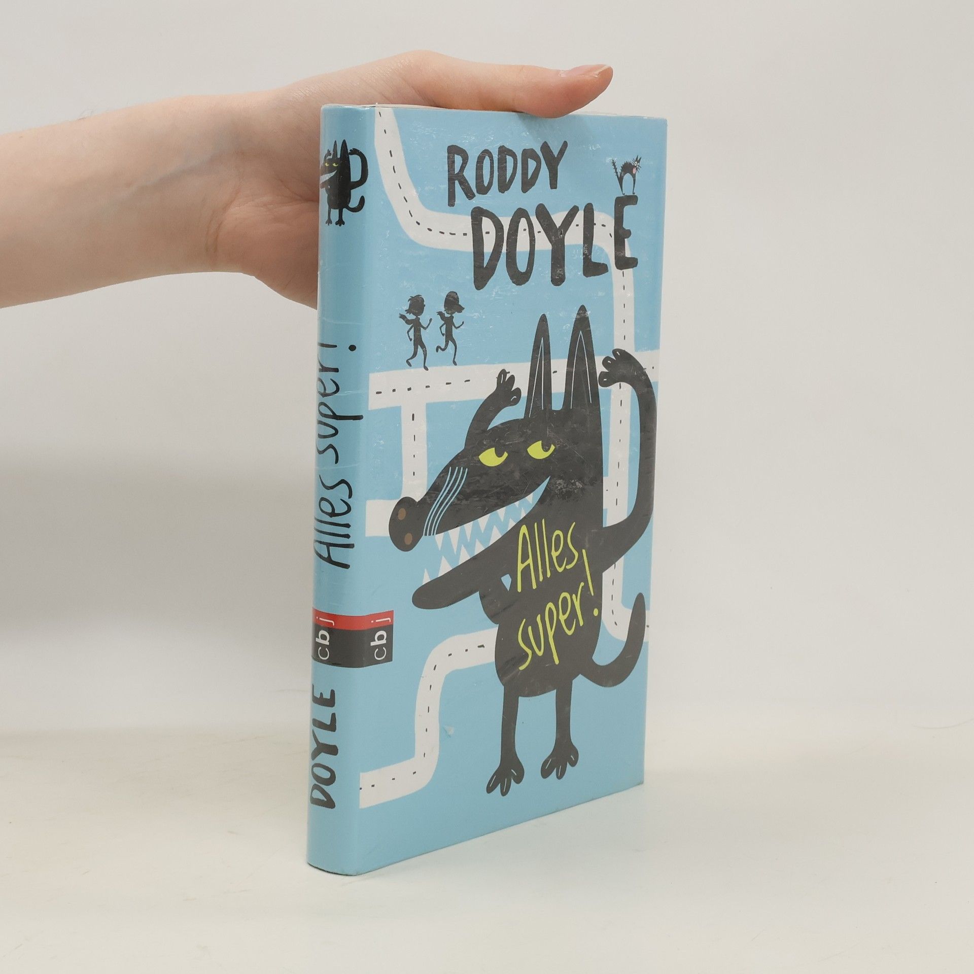 Roddy Doyle Alles, super!