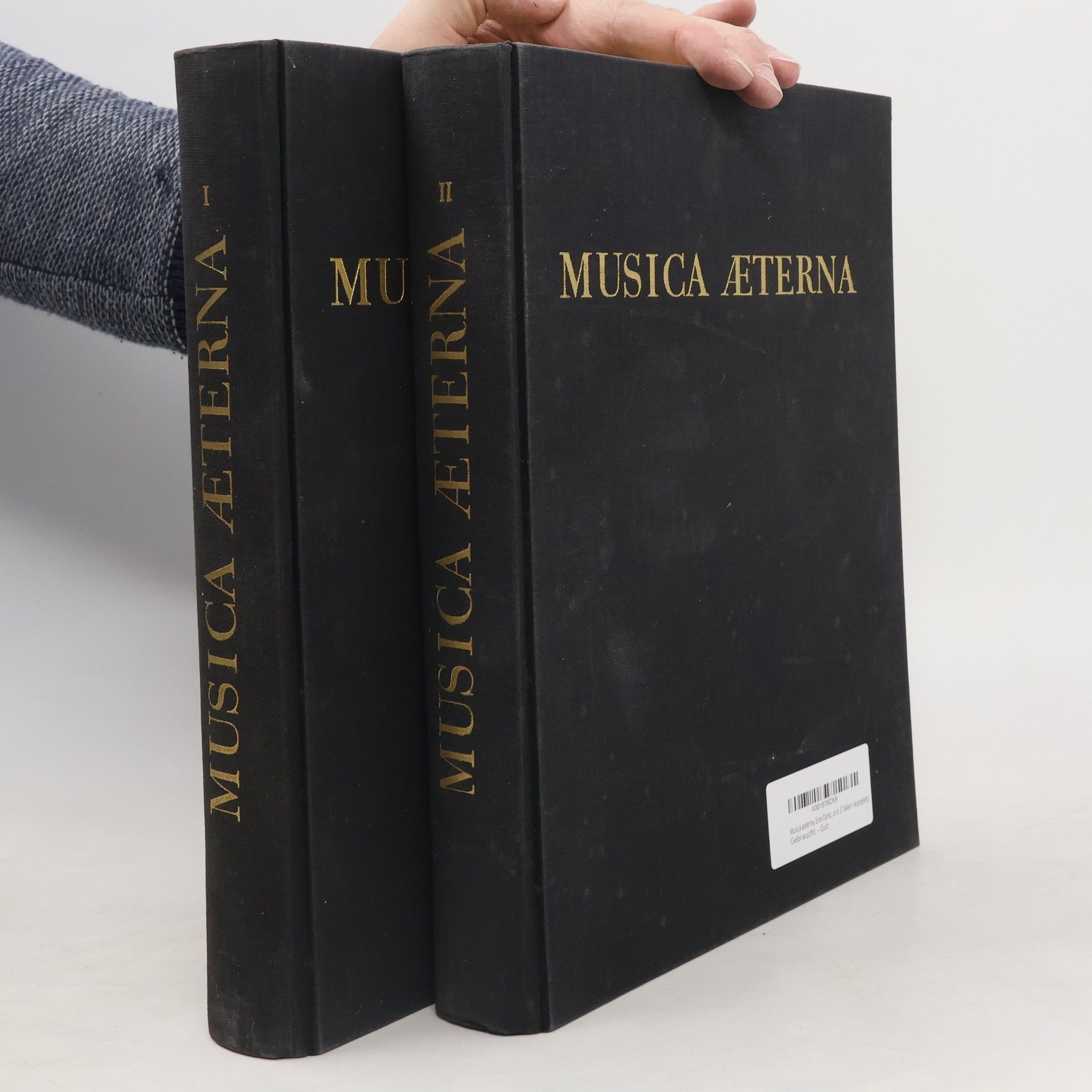 Collectif d'auteurs Musica aeterna. Band I.+ II.
