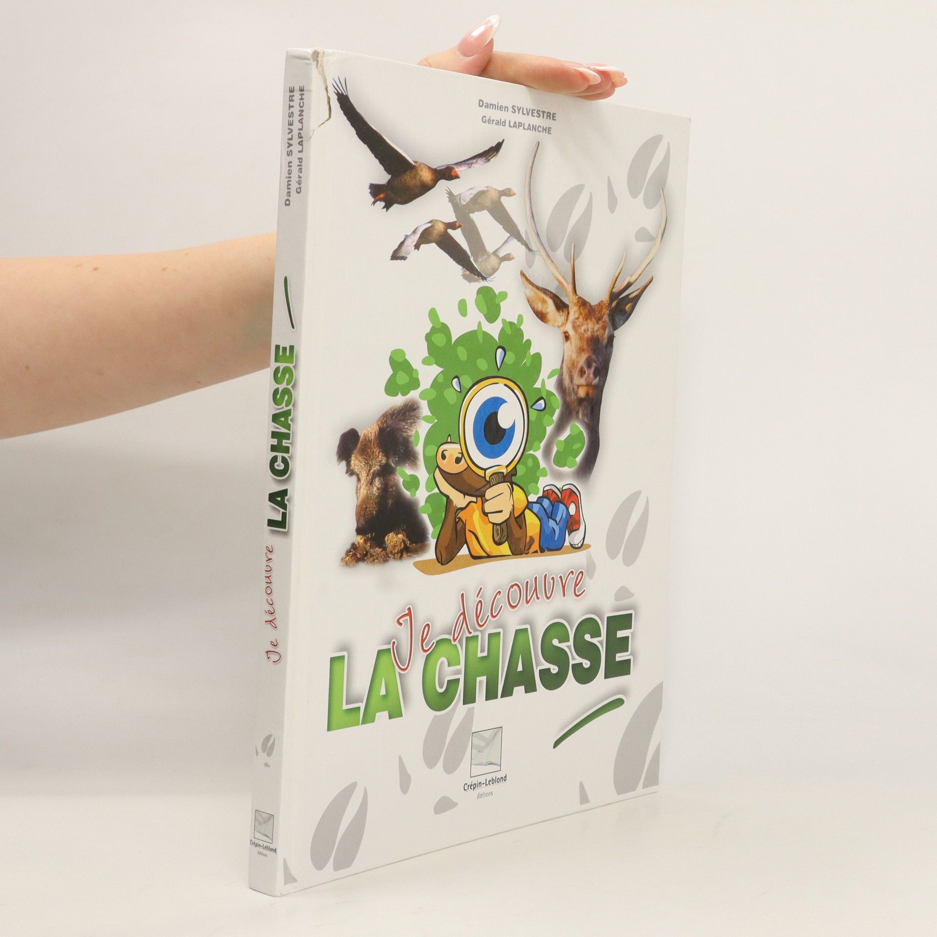 Damien Sylvestre Je découvre la chasse