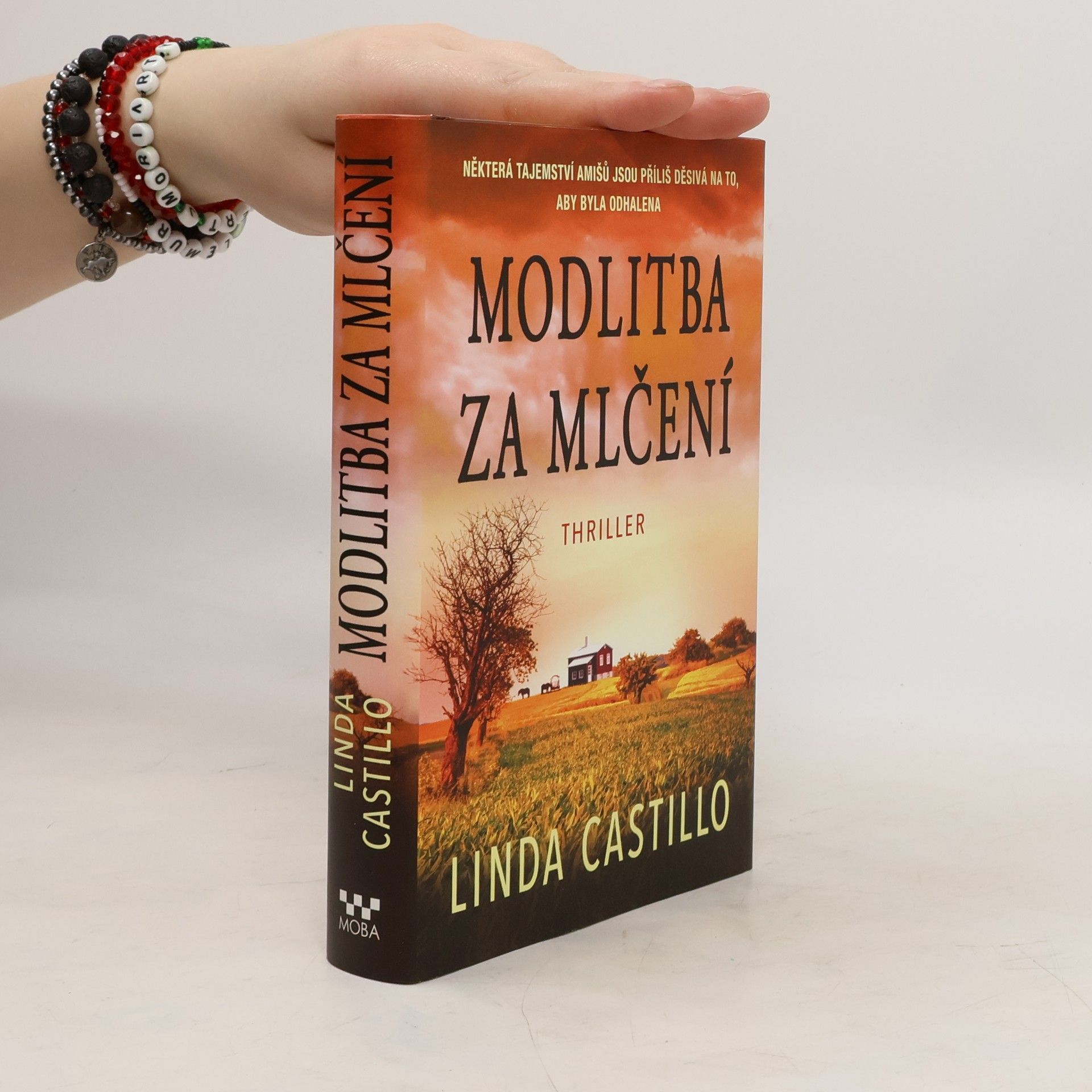 Linda Castillo Modlitba za mlčení