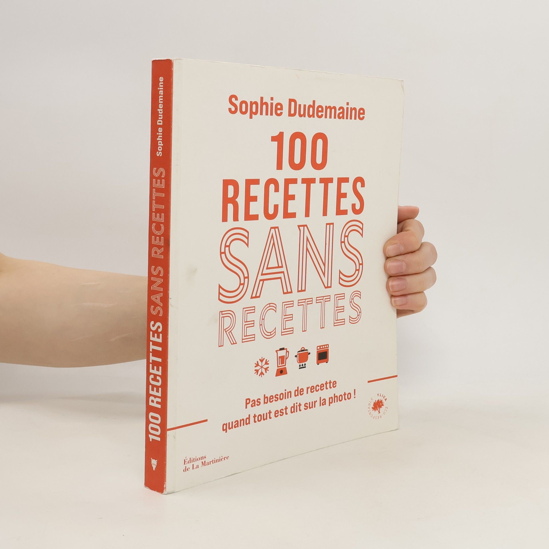 Sophie Dudemaine 100 recettes sans recettes