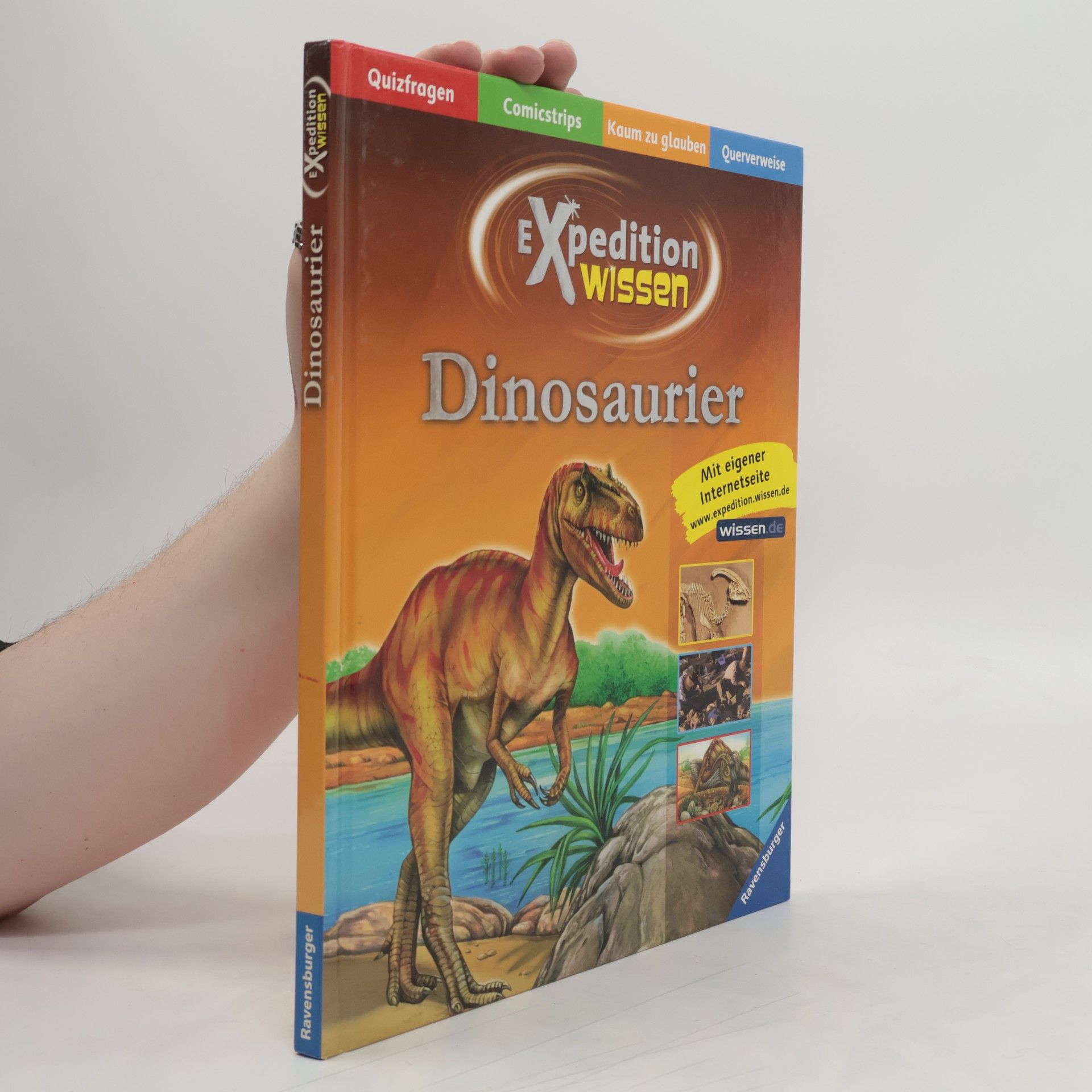 Karin Baege Dinosaurier