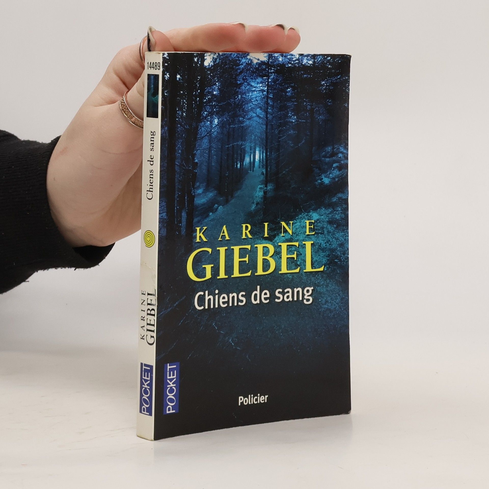 Karine Giebel Chiens de sang