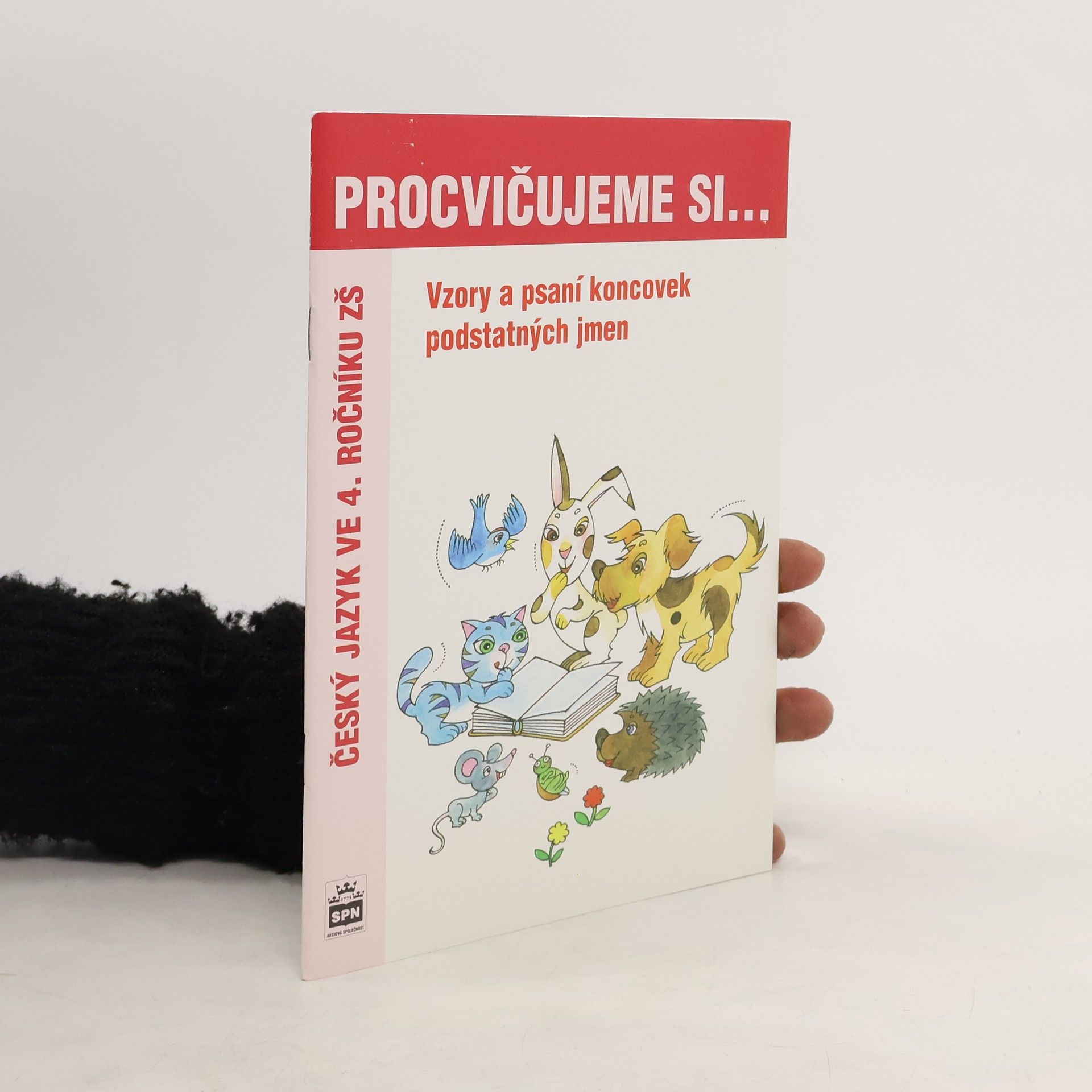 Lenka Galertová Vzory podstatných jmen a psaní jejich koncovek
