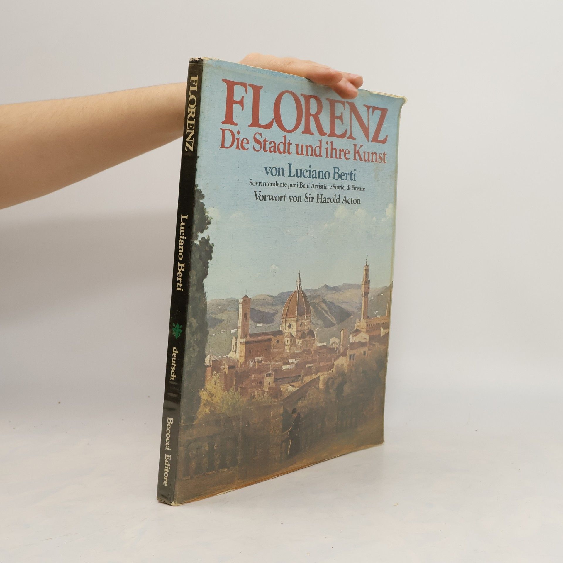 Luciano Berti Florenz. Die Stadt und ihre Kunst