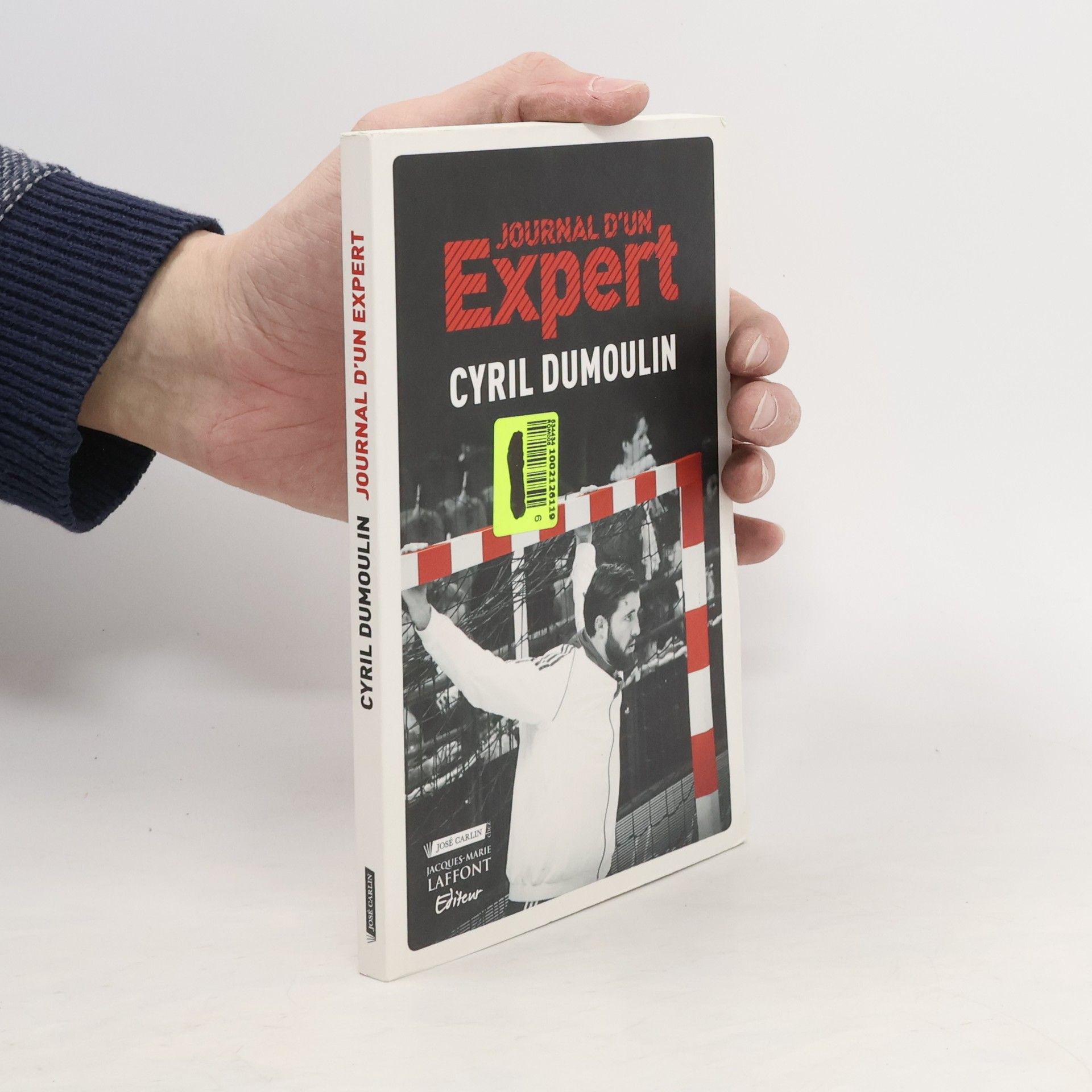 Cyril Dumoulin Journal d'un expert