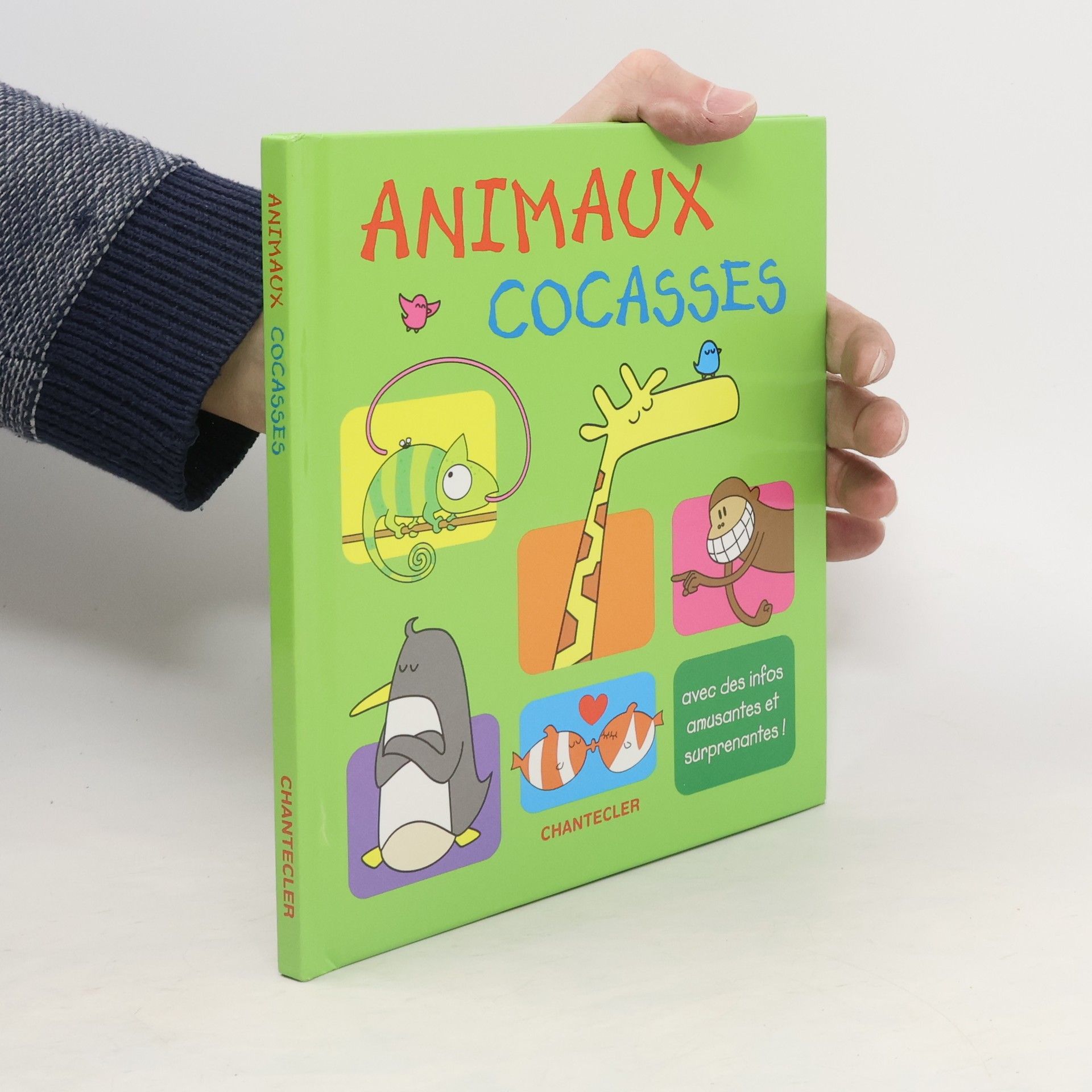 Collectif d'auteurs Animaux cocasses