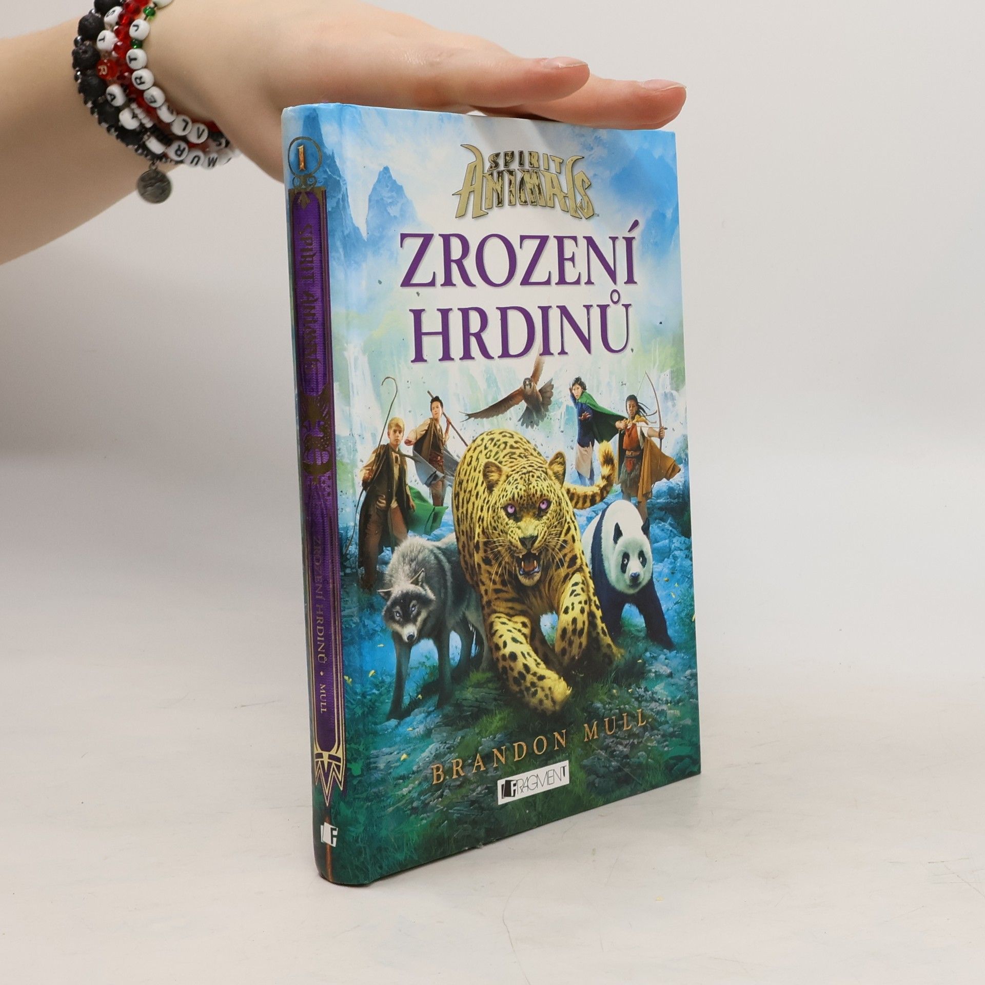 Brandon Mull Zrození hrdinů