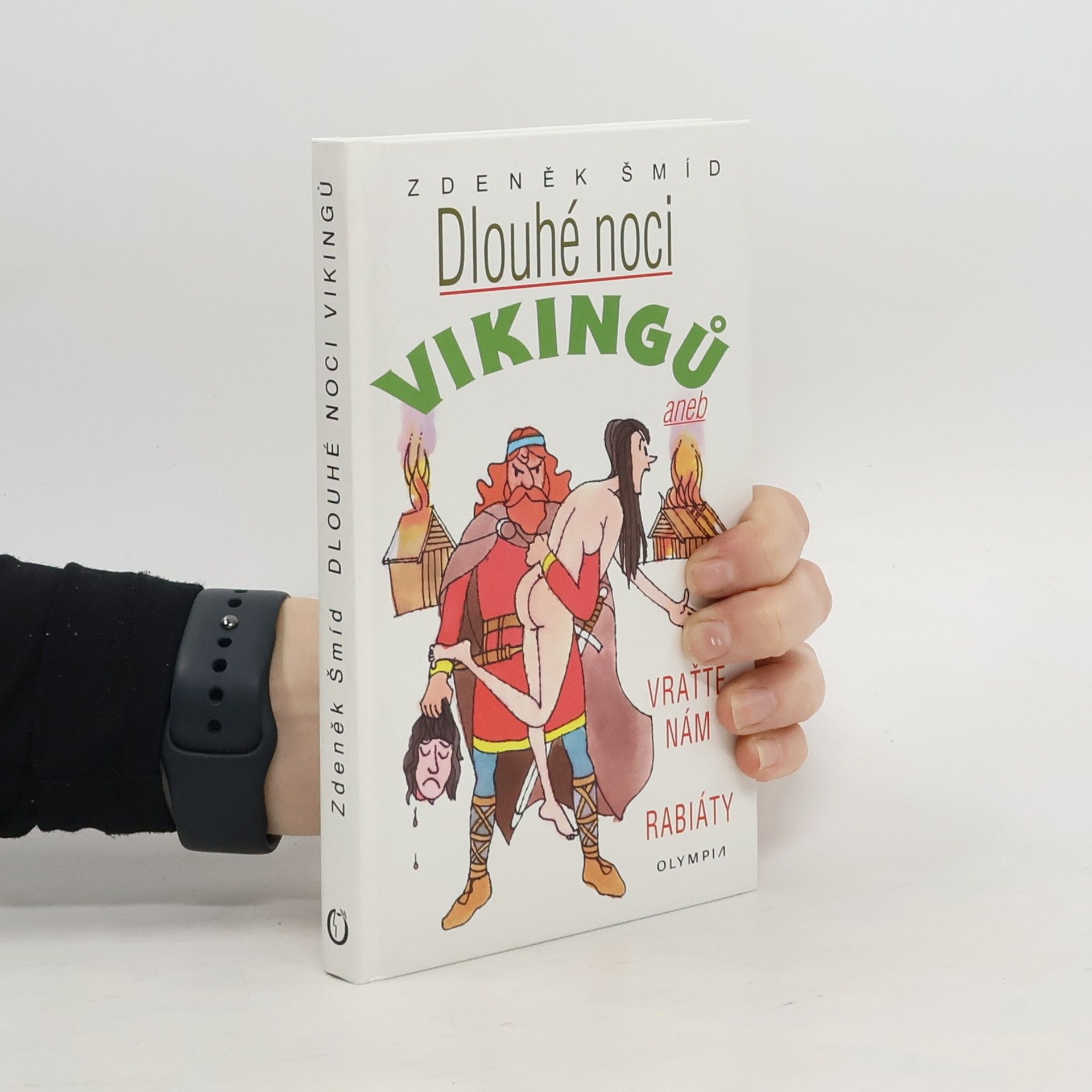 Zdeněk Šmíd Dlouhé noci Vikingů aneb Vraťte nám rabiáty