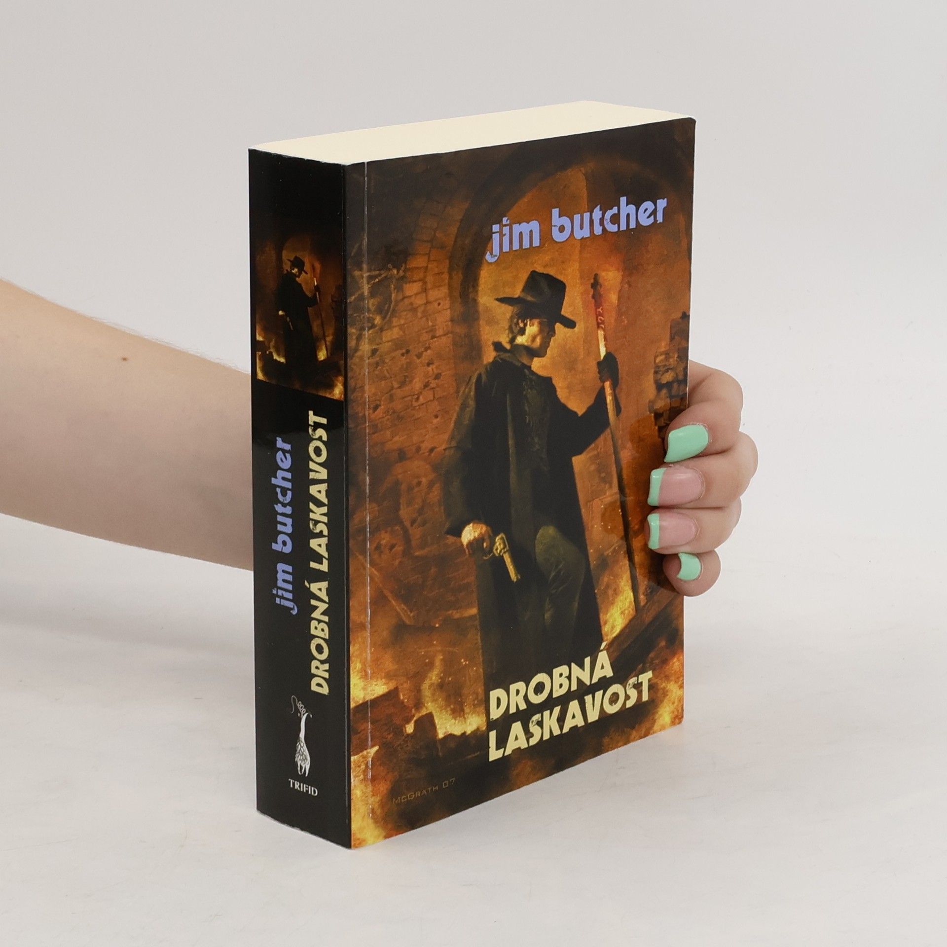 Jim Butcher Drobná laskavost