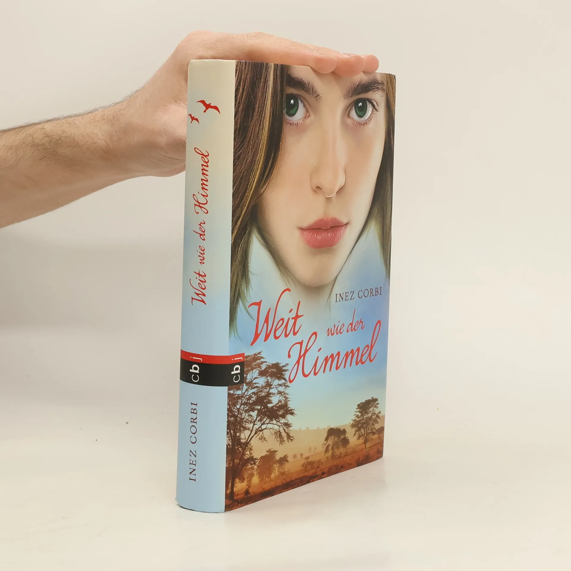 Weit wie der Himmel | Buch | Inez Corbi
