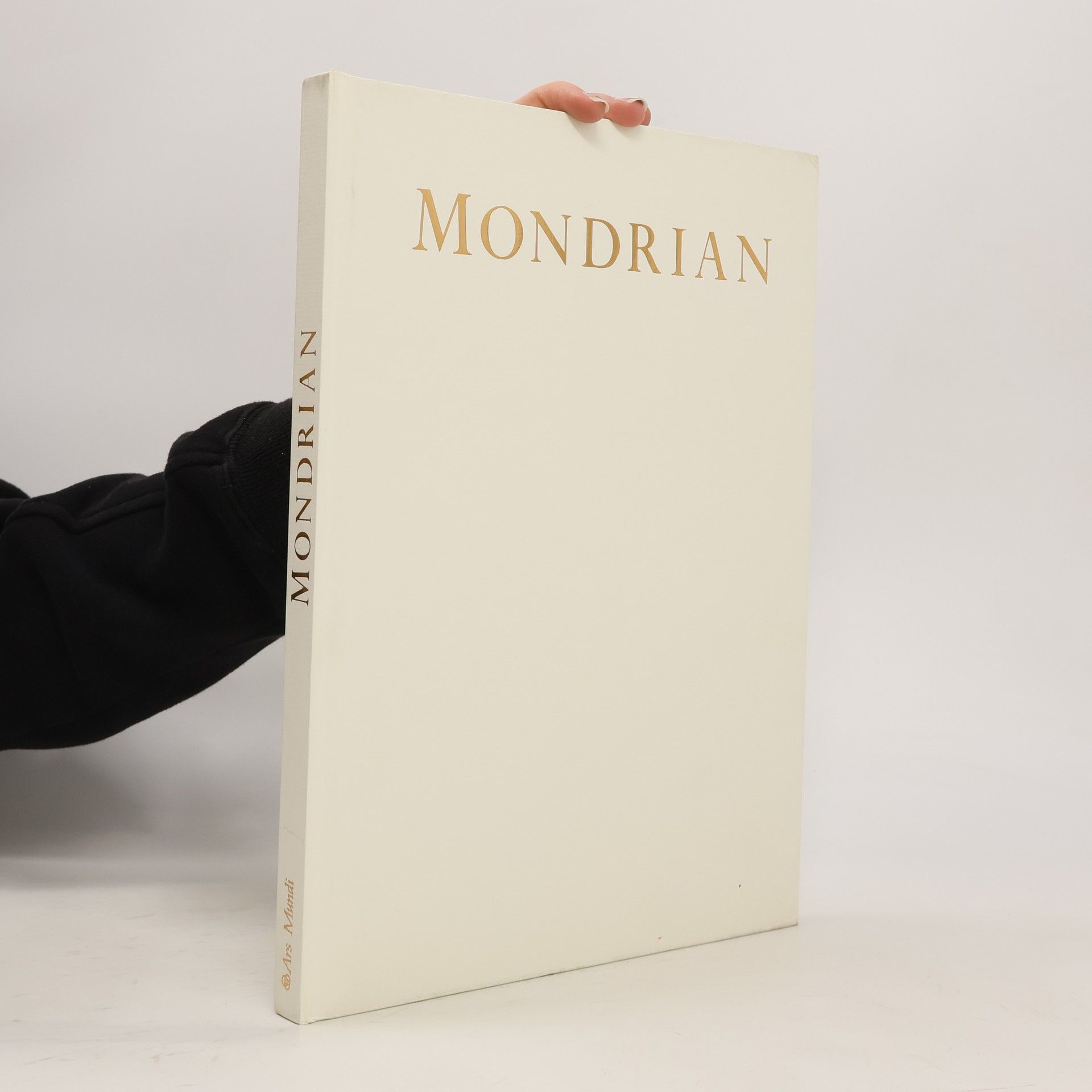Hans Ludwig C. Jaffé Mondrian
