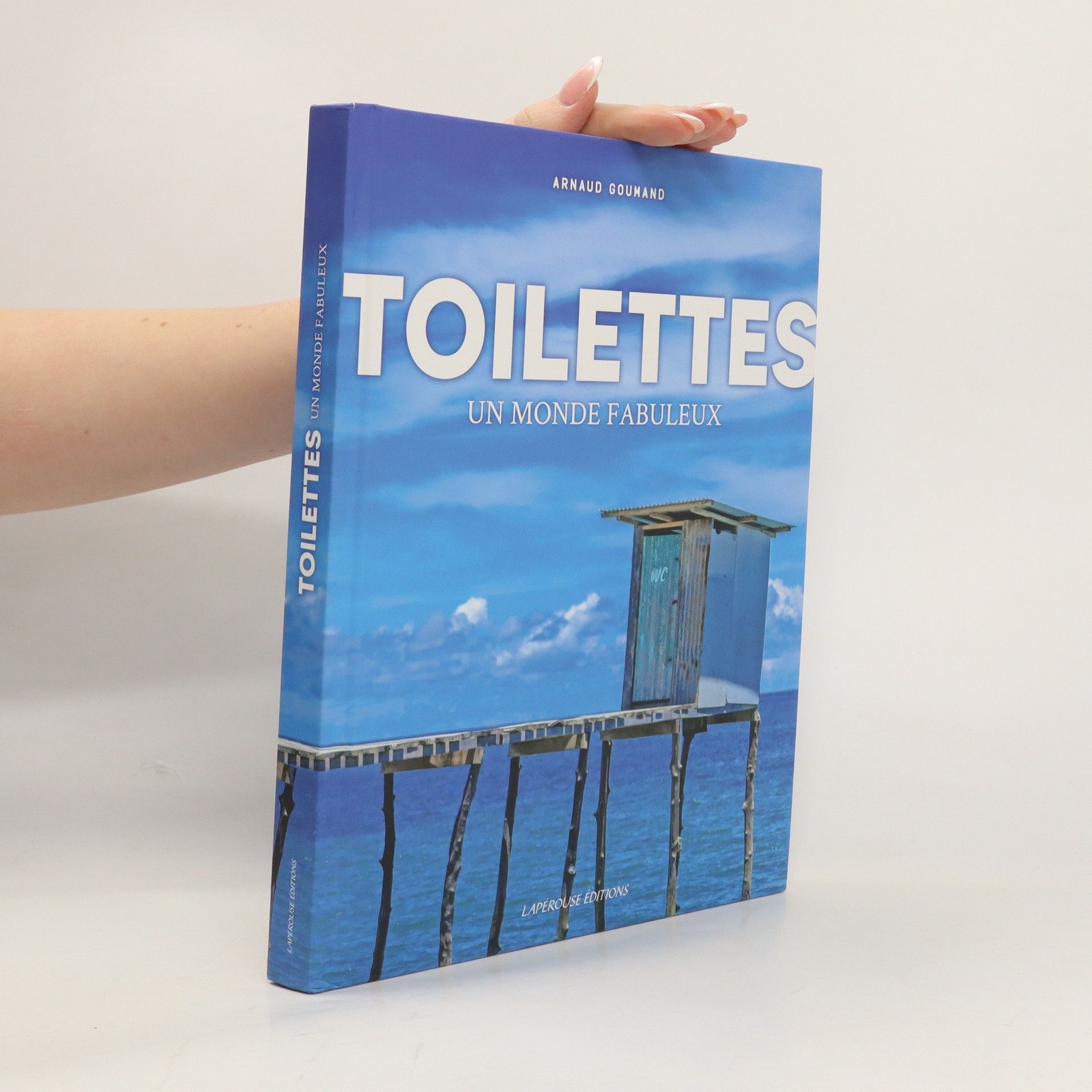 Arnaud Goumand Toilettes