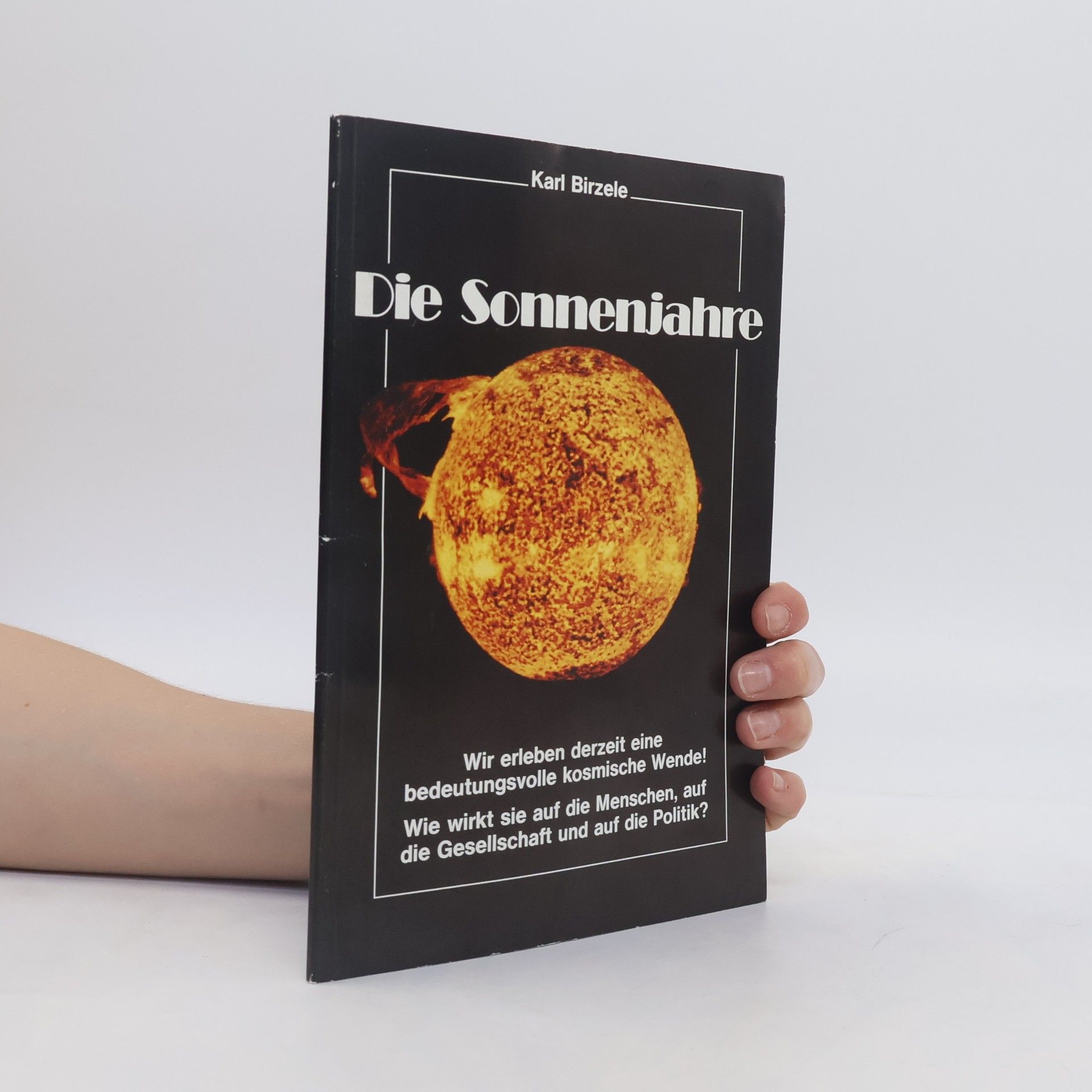 Karl Birzele Die Sonnenjahre