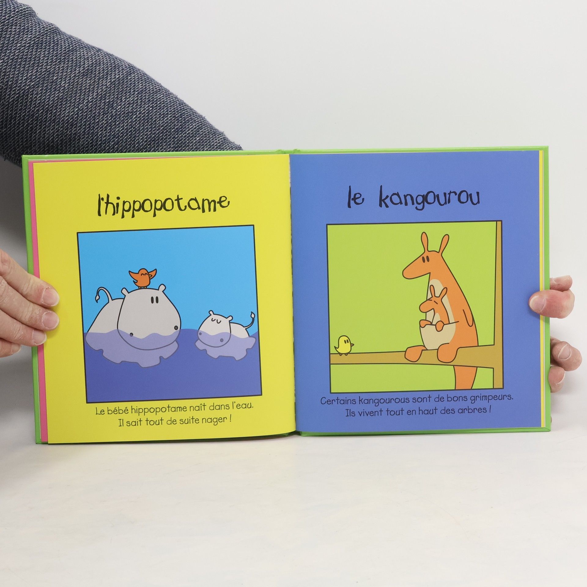 Kolektiv autorů Animaux cocasses