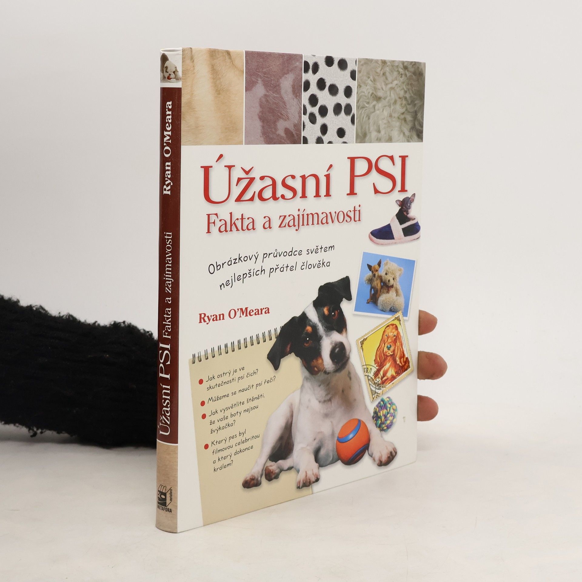 Ryan O. Meara Úžasní psi. Fakta a zajímavosti