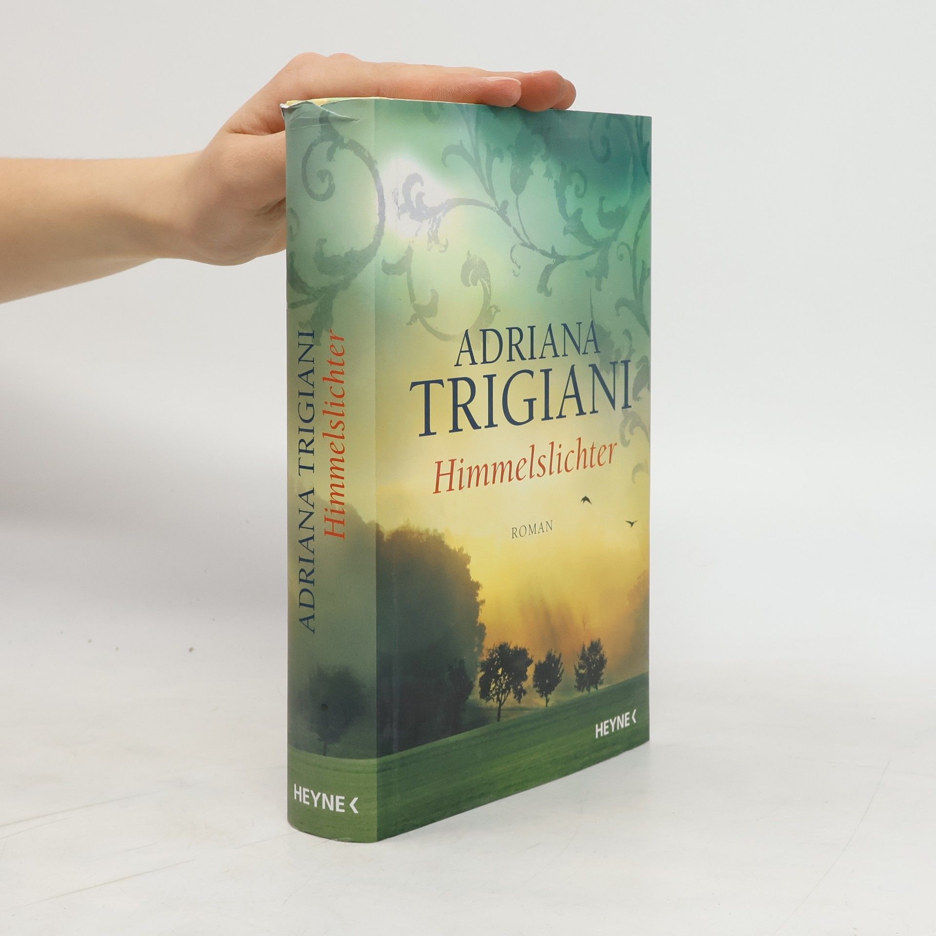 Adriana Trigiani Himmelslichter