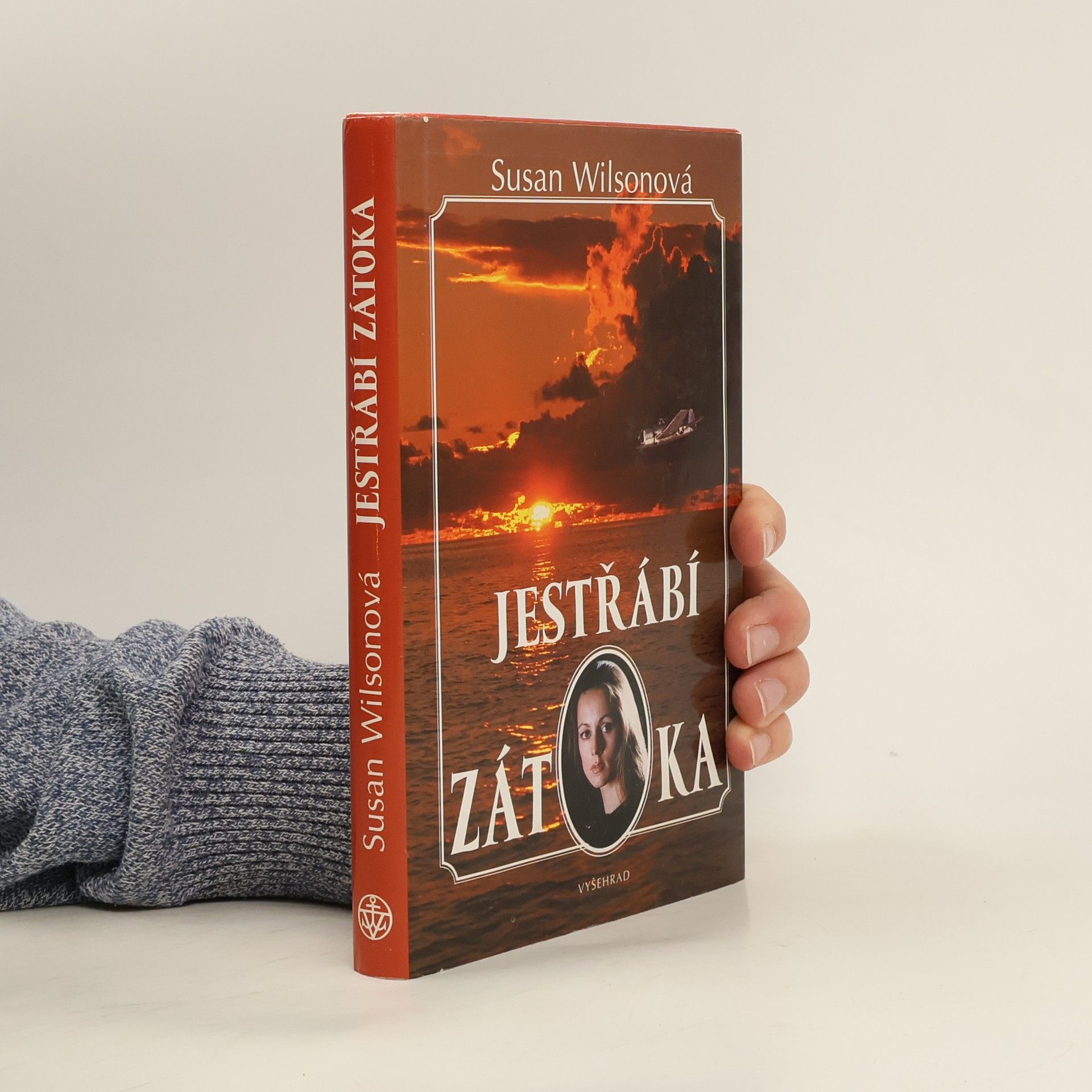 Susan Wilson Jestřábí zátoka