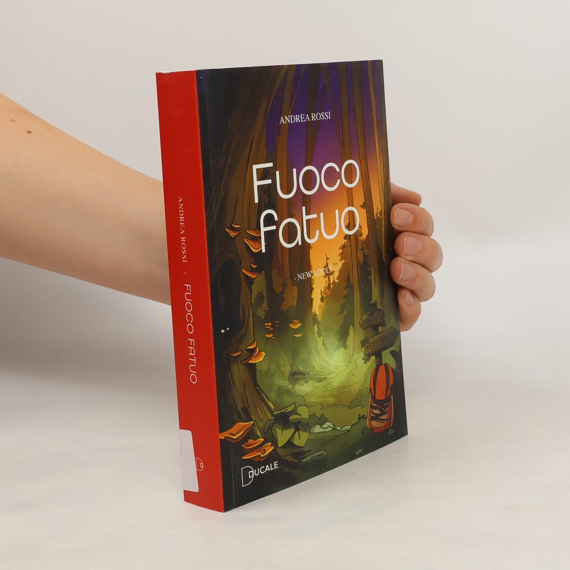 Andrea Rossi Fuoco fatuo