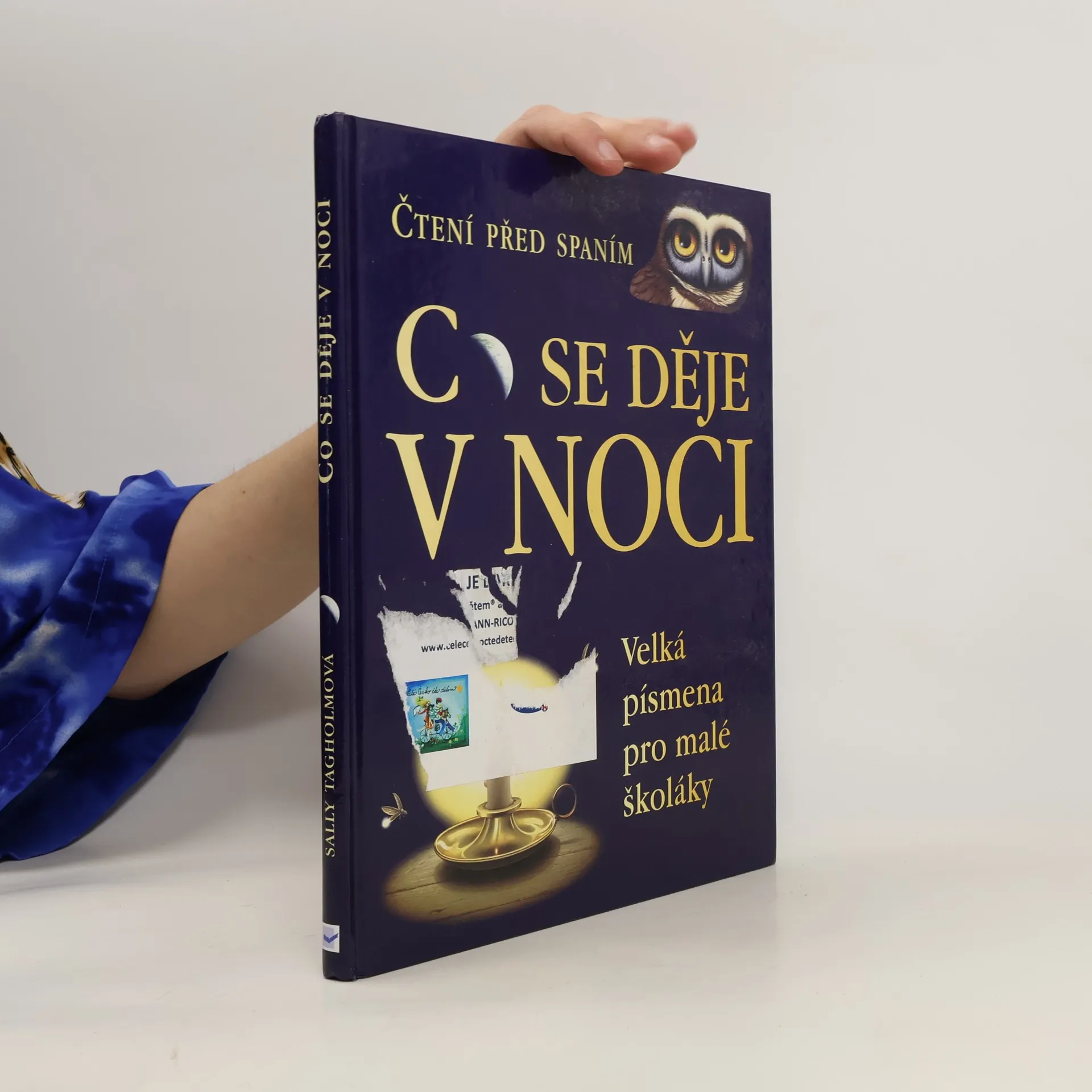 Co se děje v noci | Kniha | Sally Tagholm | CS