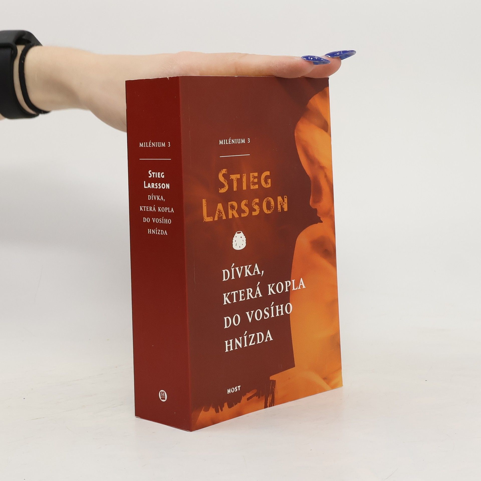 Stieg Larsson Dívka, která kopla do vosího hnízda