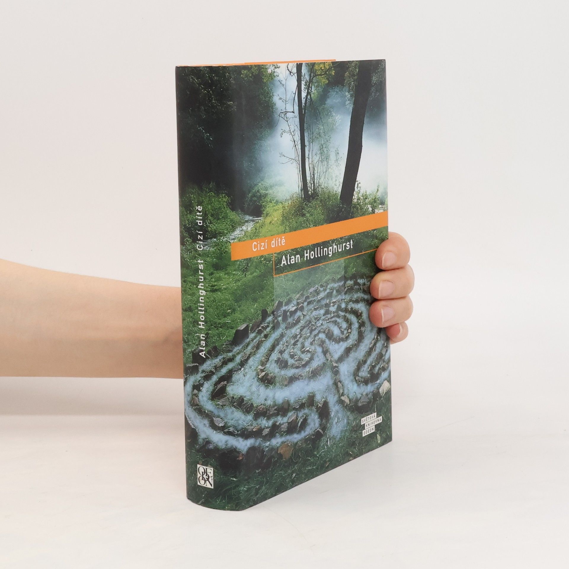 Alan Hollinghurst Cizí dítě