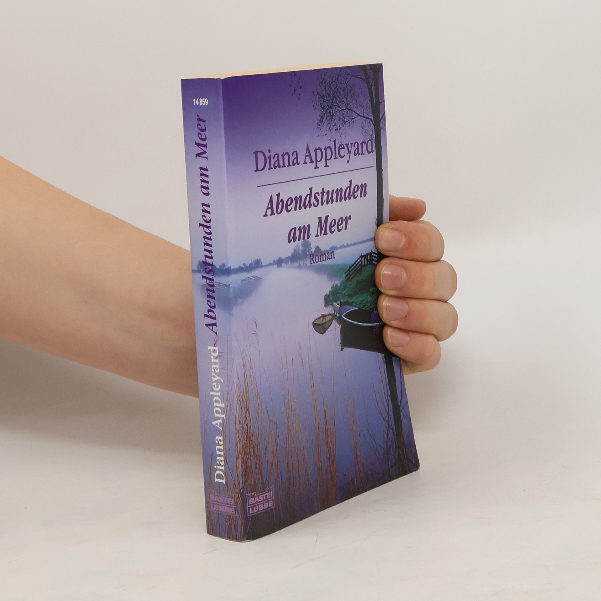 Diana Appleyard Abendstunden am Meer. Roman
