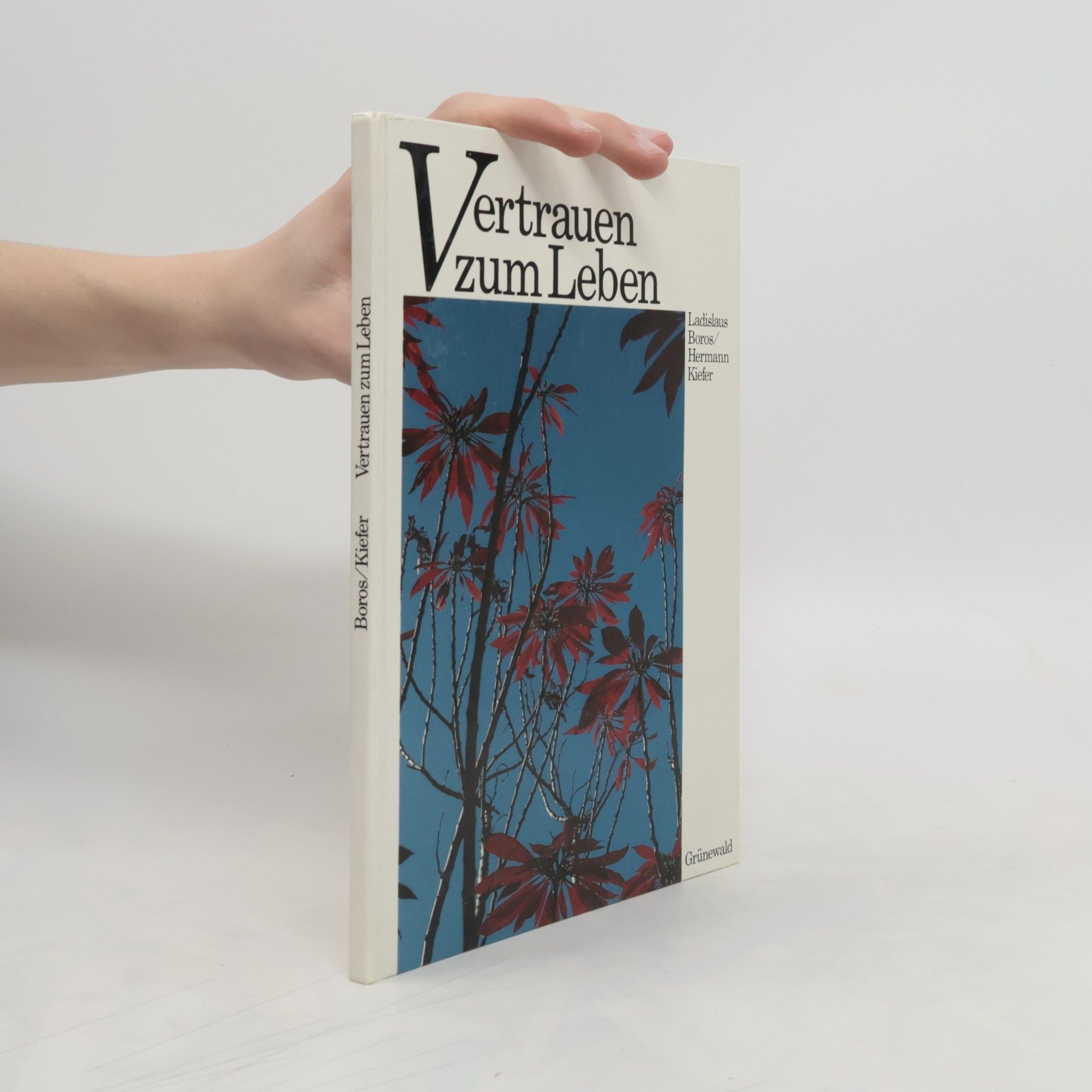 Ladislaus Boros Vertrauen zum Leben