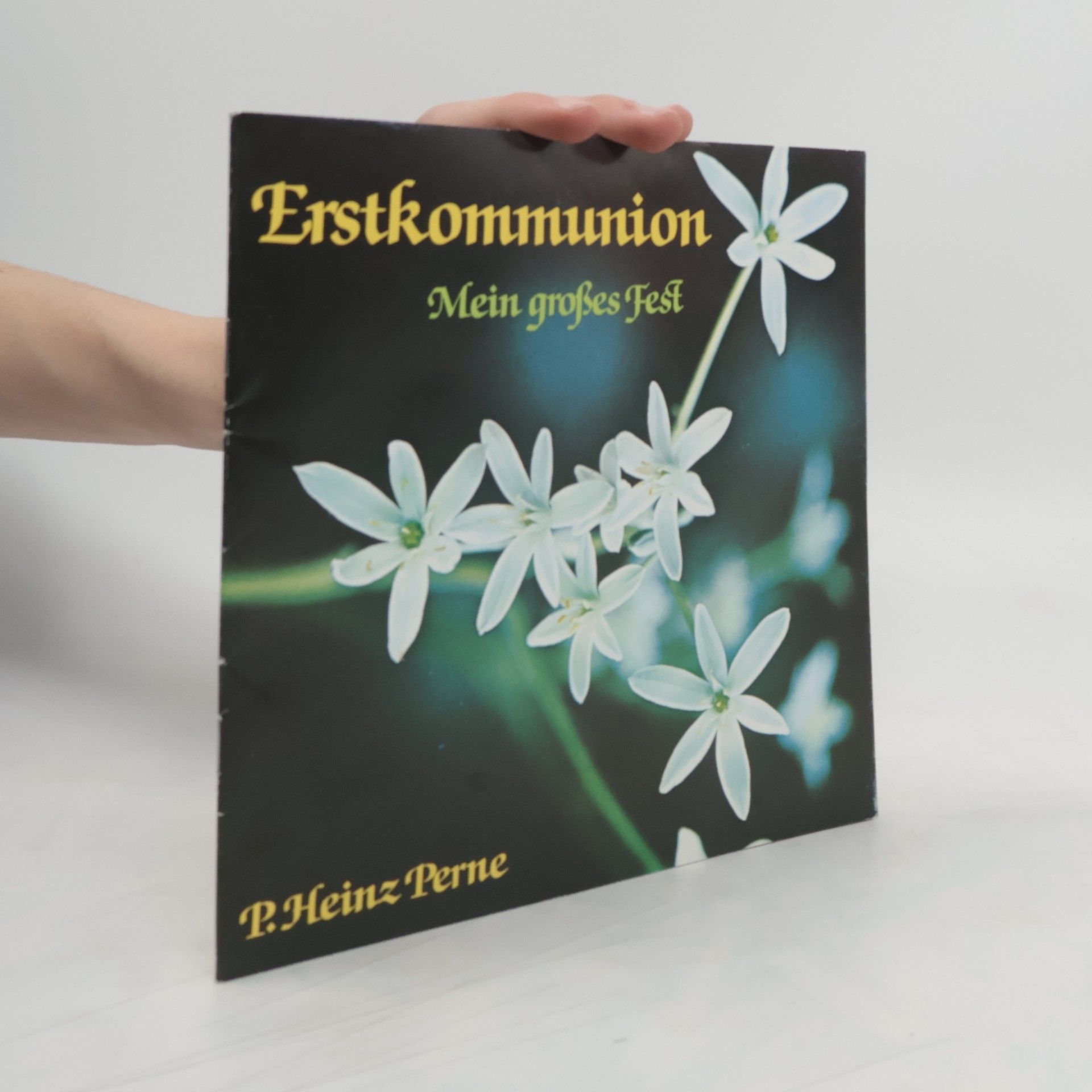 Heinz P. Perne Erstkommunion. Mein großes Fest. Neuausgabe.