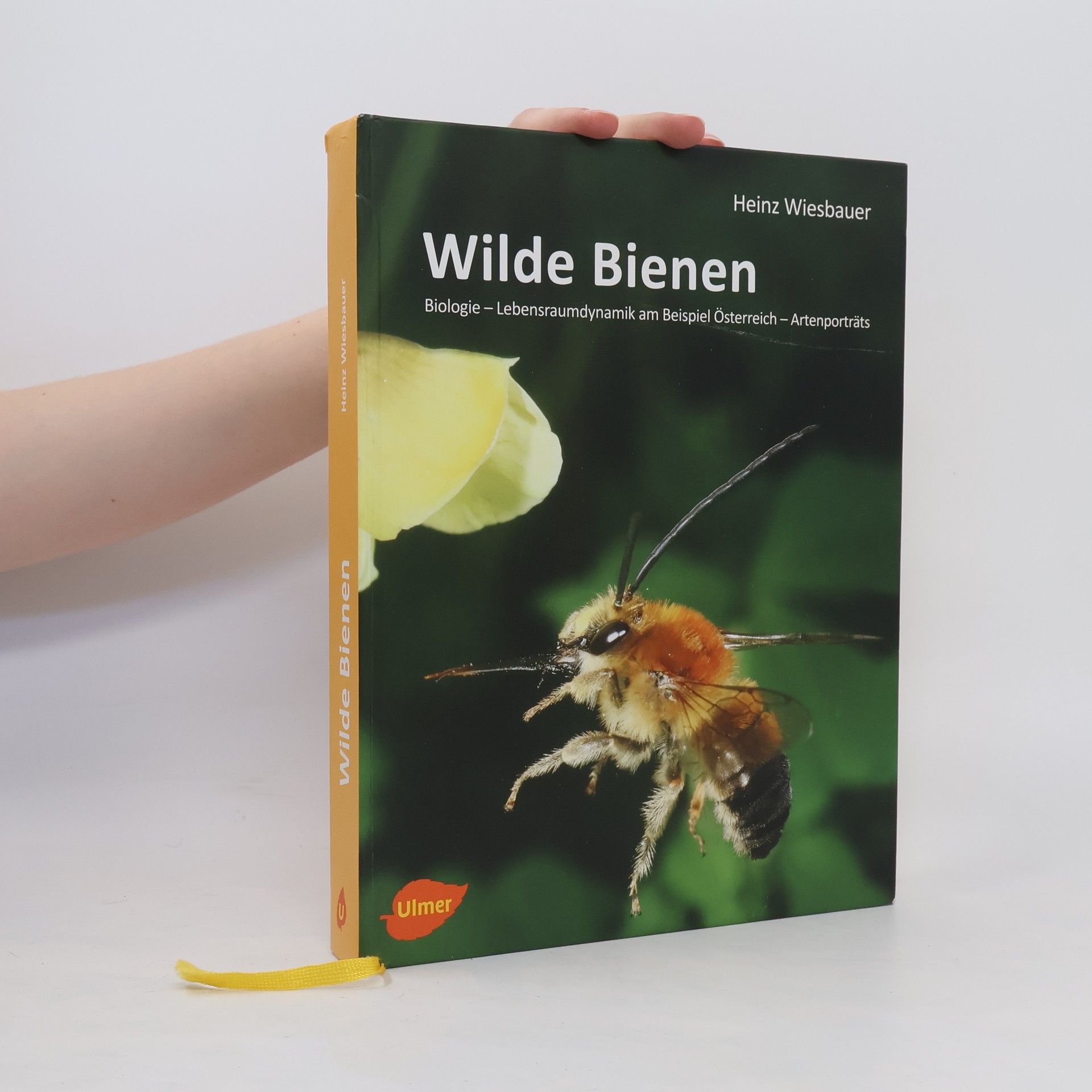 Heinz Wiesbauer Wilde Bienen