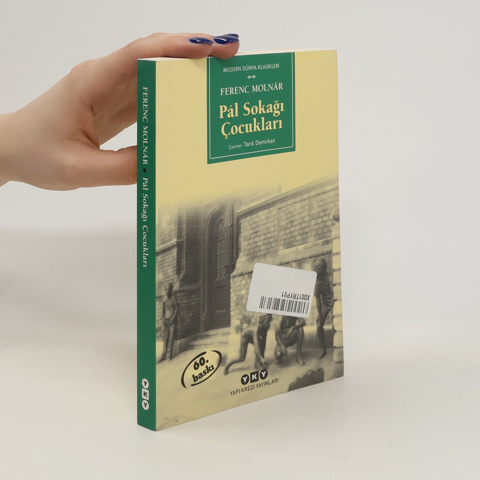 Ferenc Molnár Pal Sokagi Cocuklari