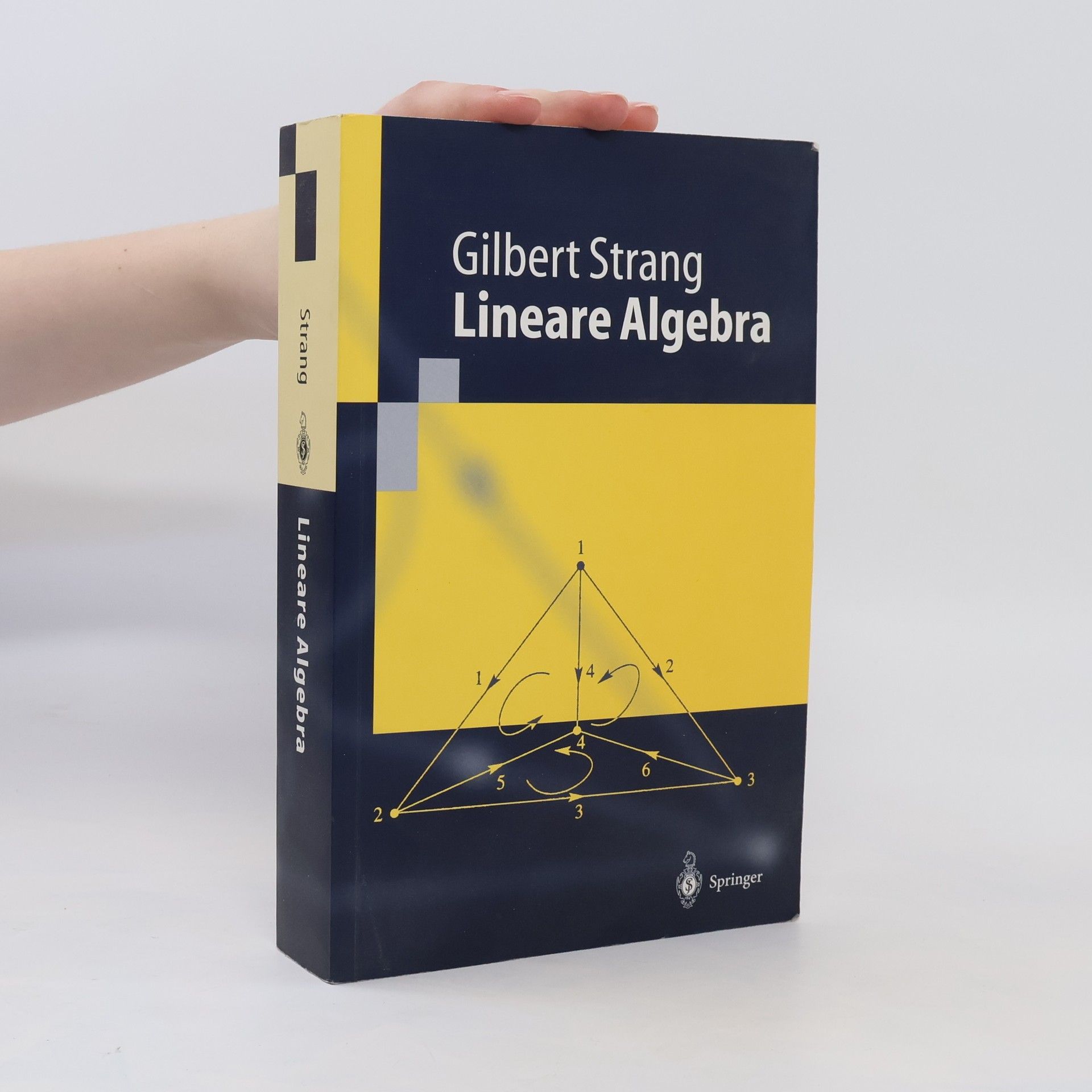 Gilbert Strang Lineare Algebra