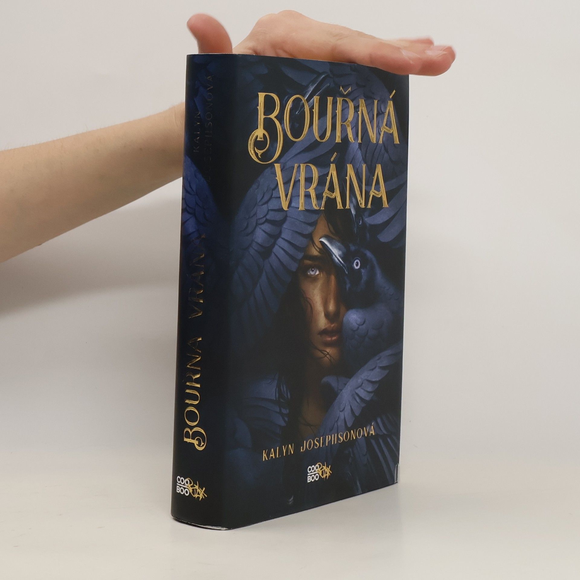 Kalyn Josephson Bouřná vrána