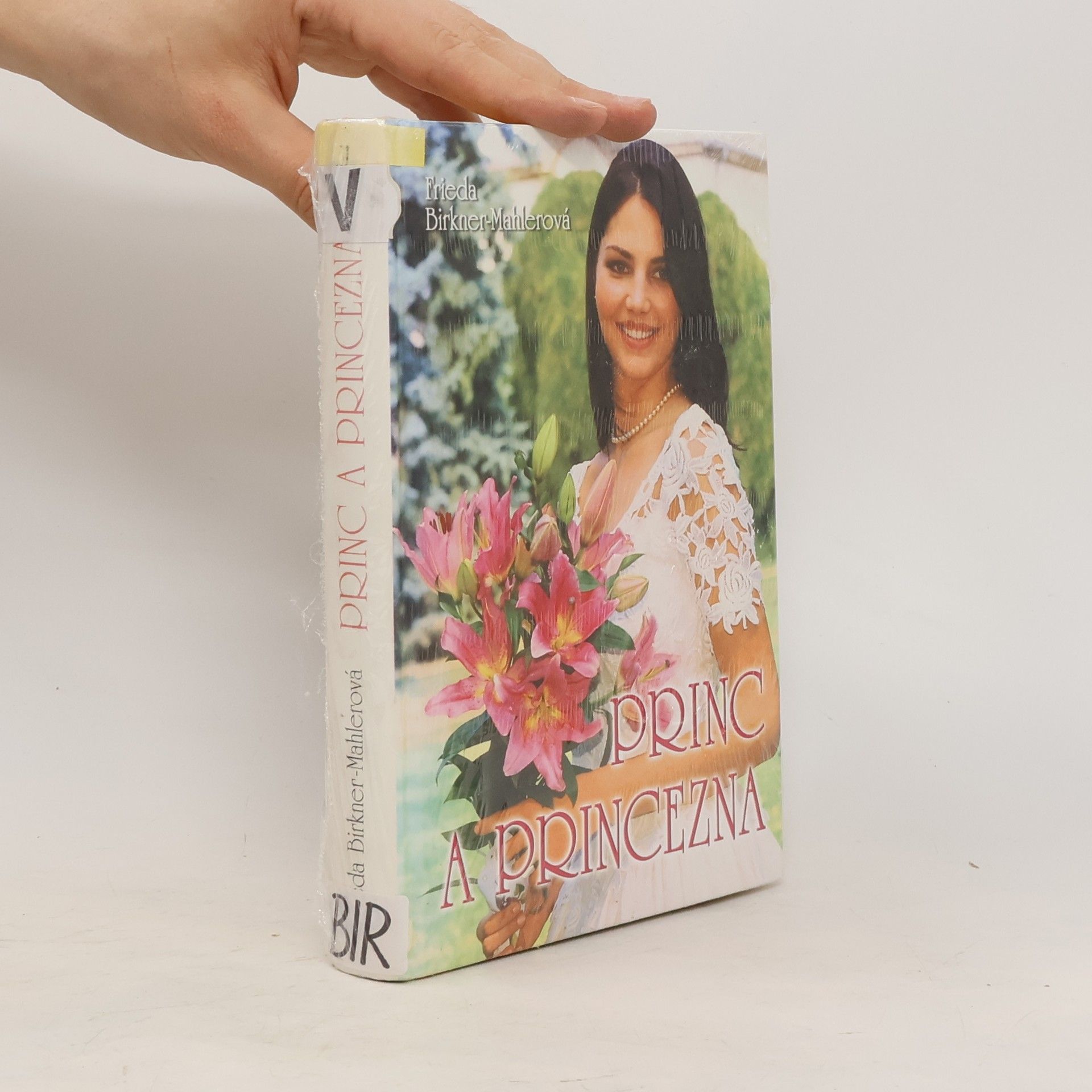 Friede Birkner Princ a princezna