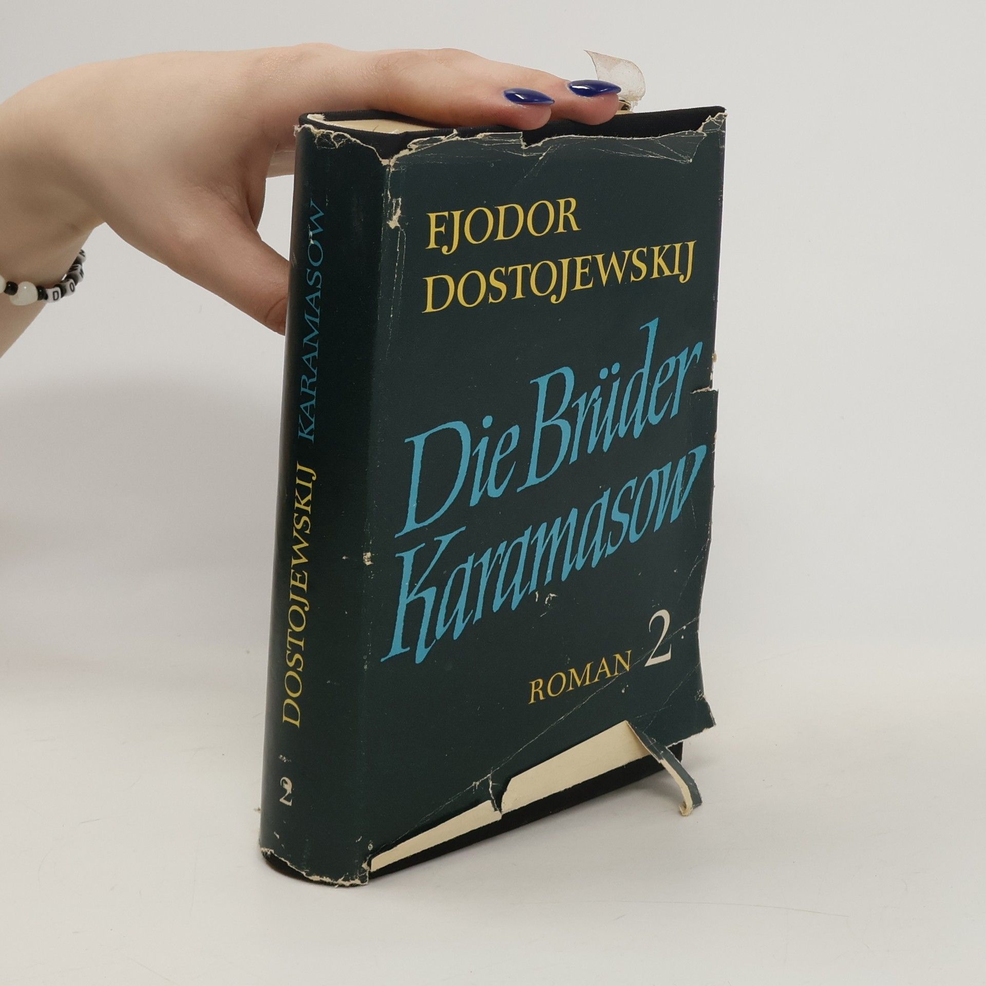 Fyodor Dostoyevsky Die Brüder Karamasow 2