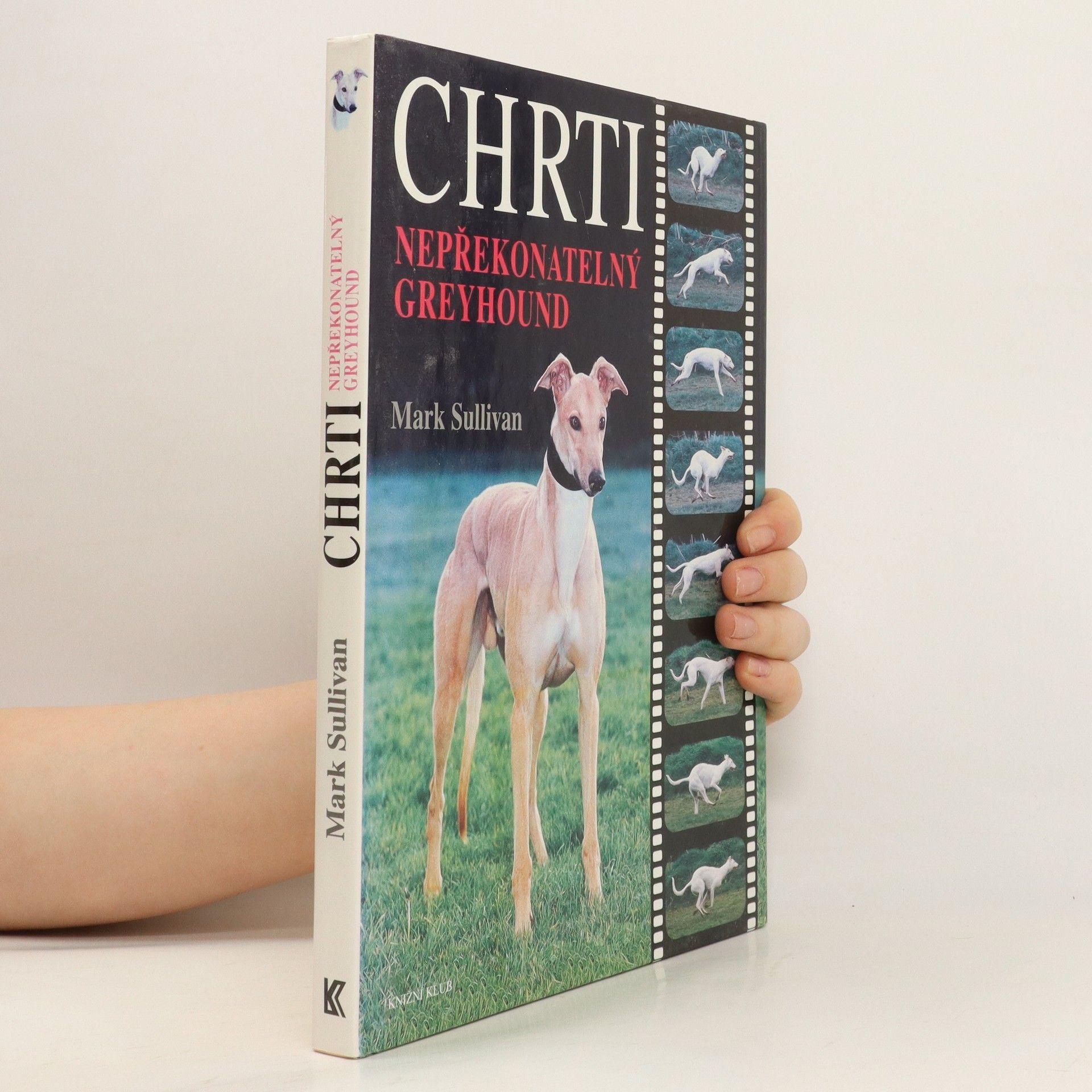 Mark T. Sullivan Chrti - Nepřekonatelný Greyhound